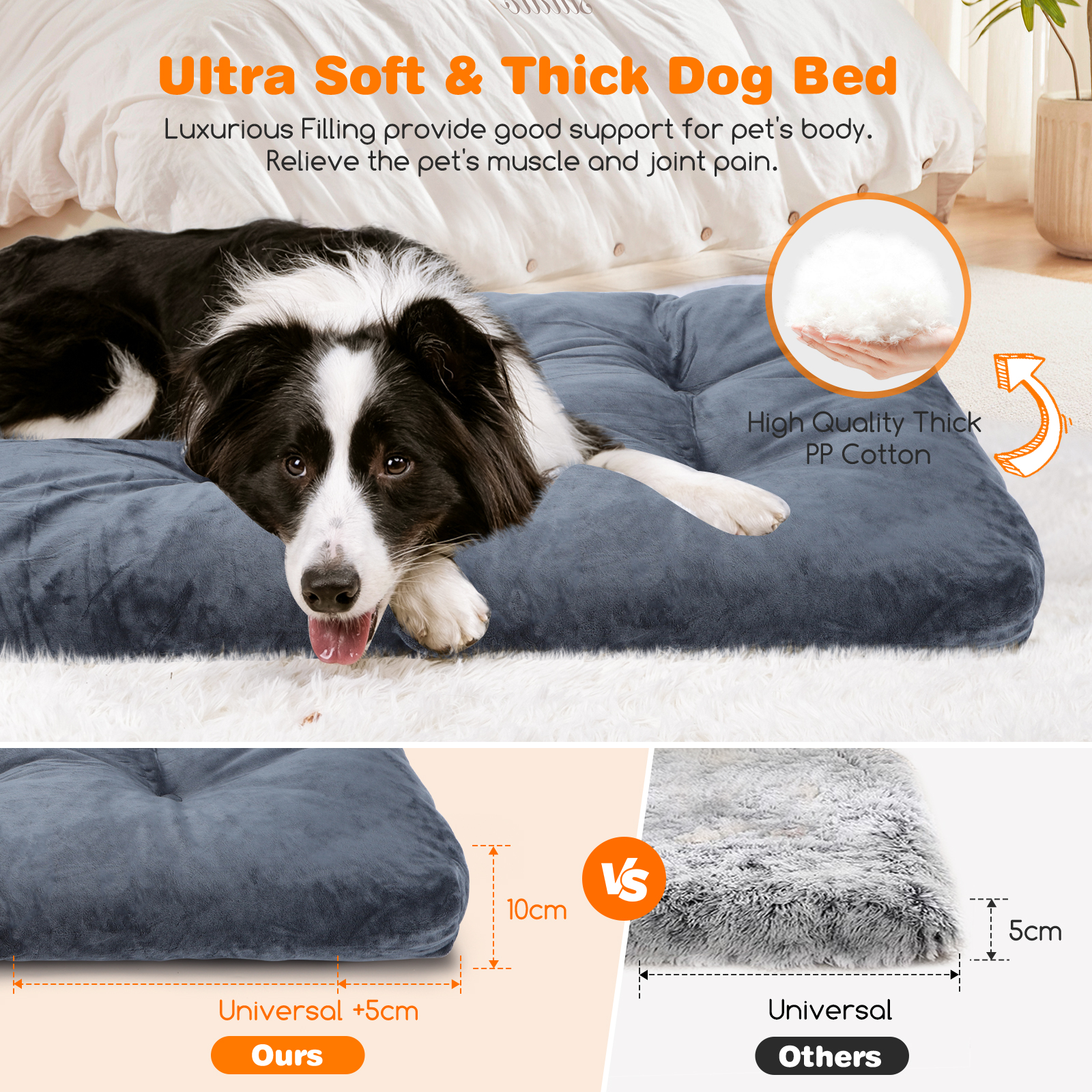 Un perro en una cama azul. Comparación del grosor de la cama con otra.