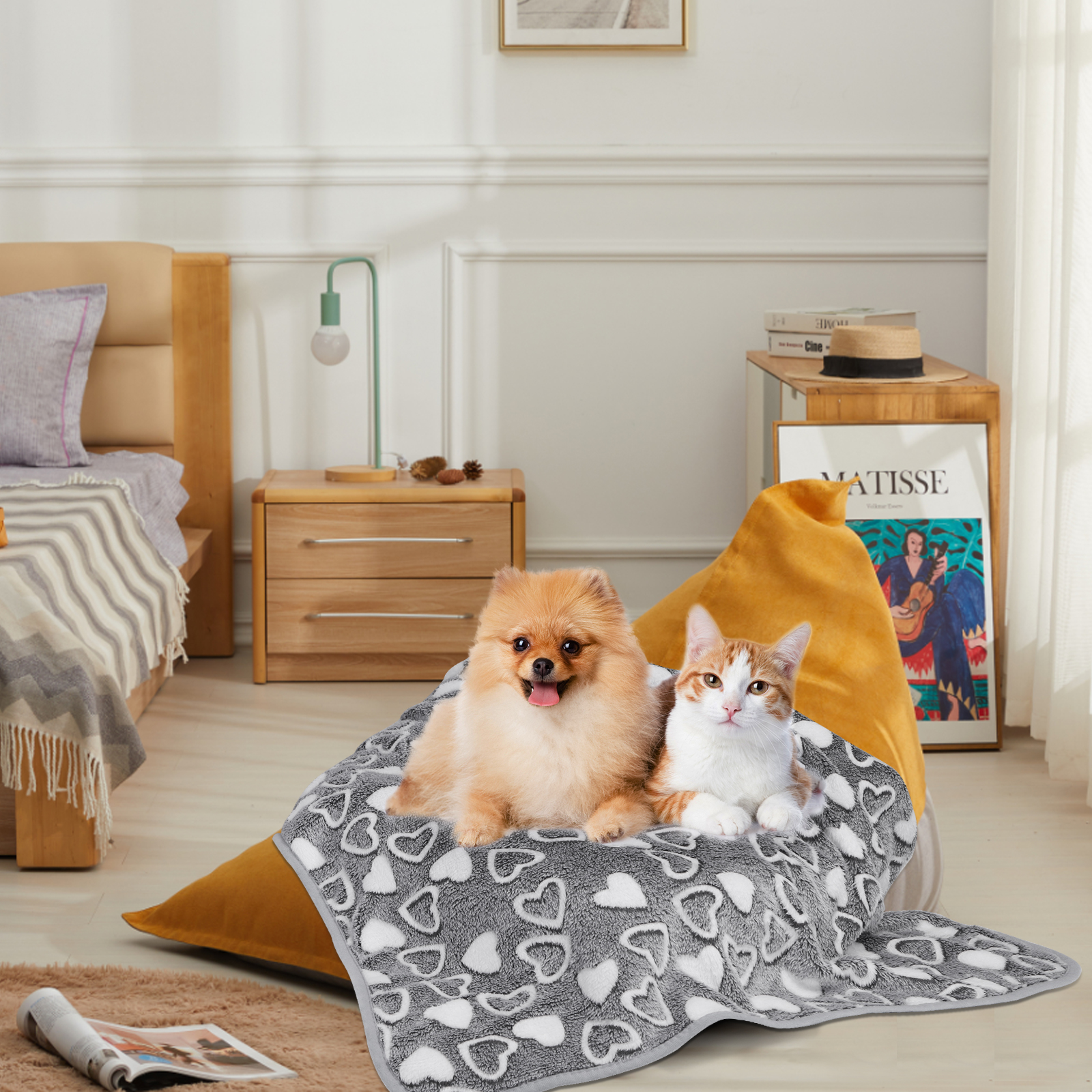 Un perro y un gato sentados en una manta con corazones. Están en una cama en una habitación acogedora.