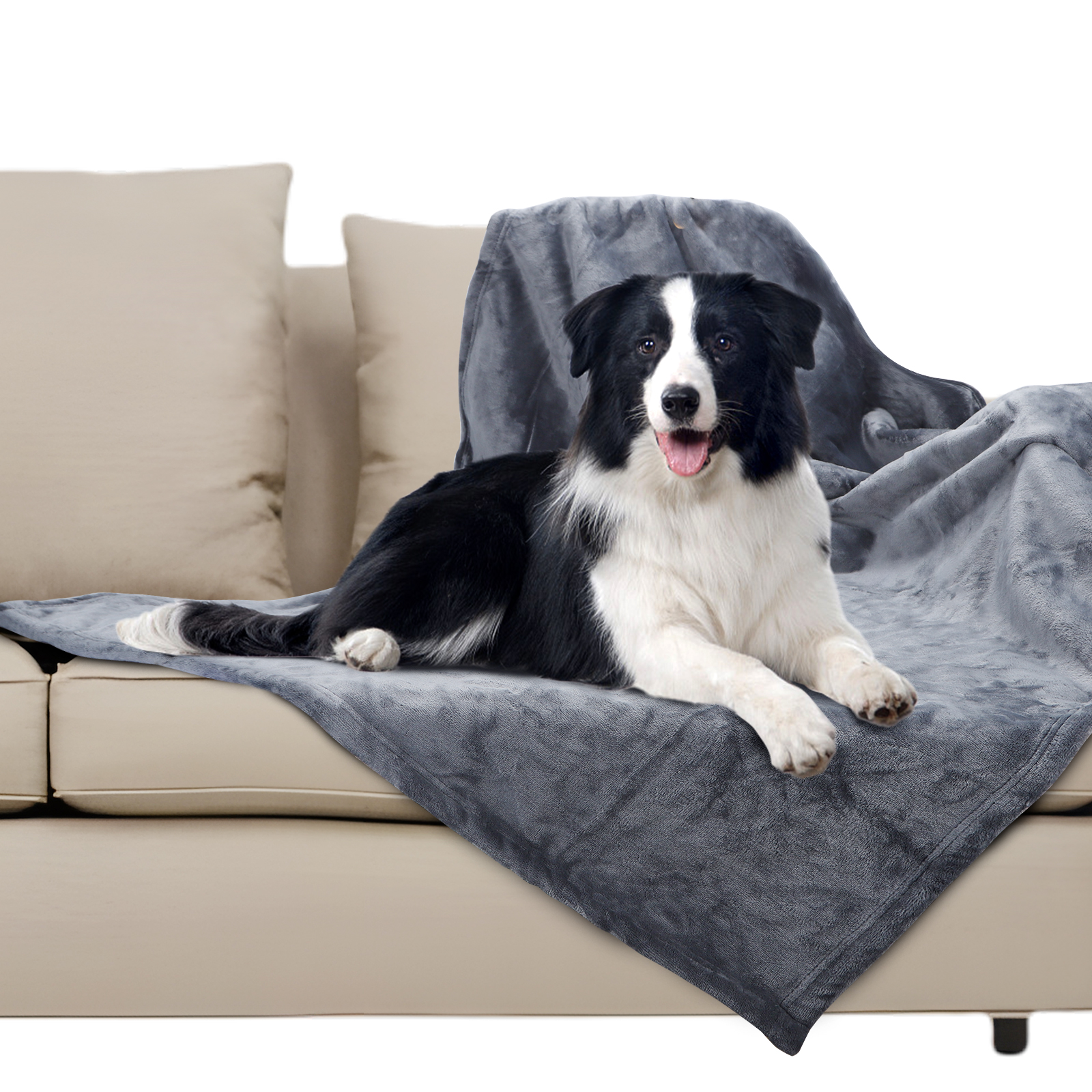 Un perro blanco y negro acostado sobre una manta gris en un sofá beige.