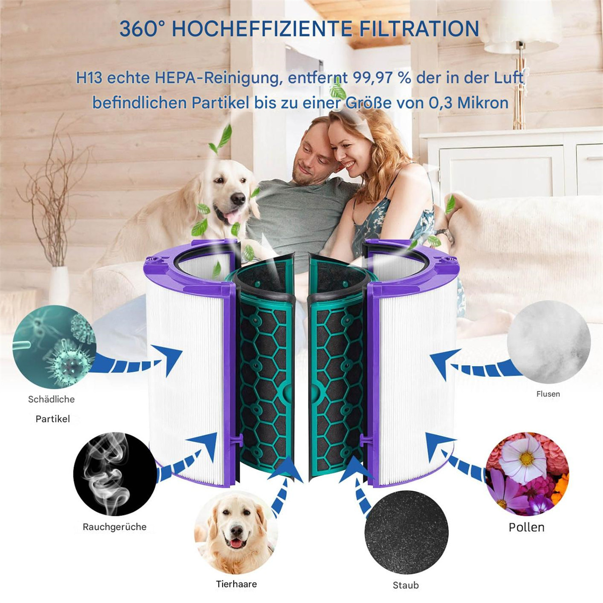 Luftreiniger mit Diagrammen zur Filtration von Schadstoffen, Rauch und Allergenen.
