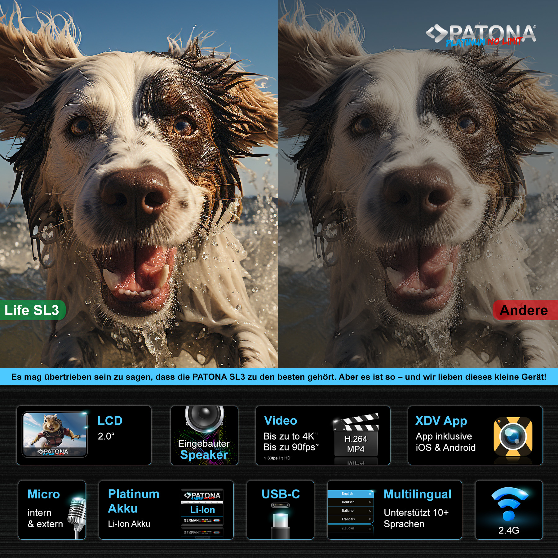 Zwei Hunde im Wasser, Produktdisplay mit Video-, Akku-, Lautsprecher- und mehrsprachigen Optionen.