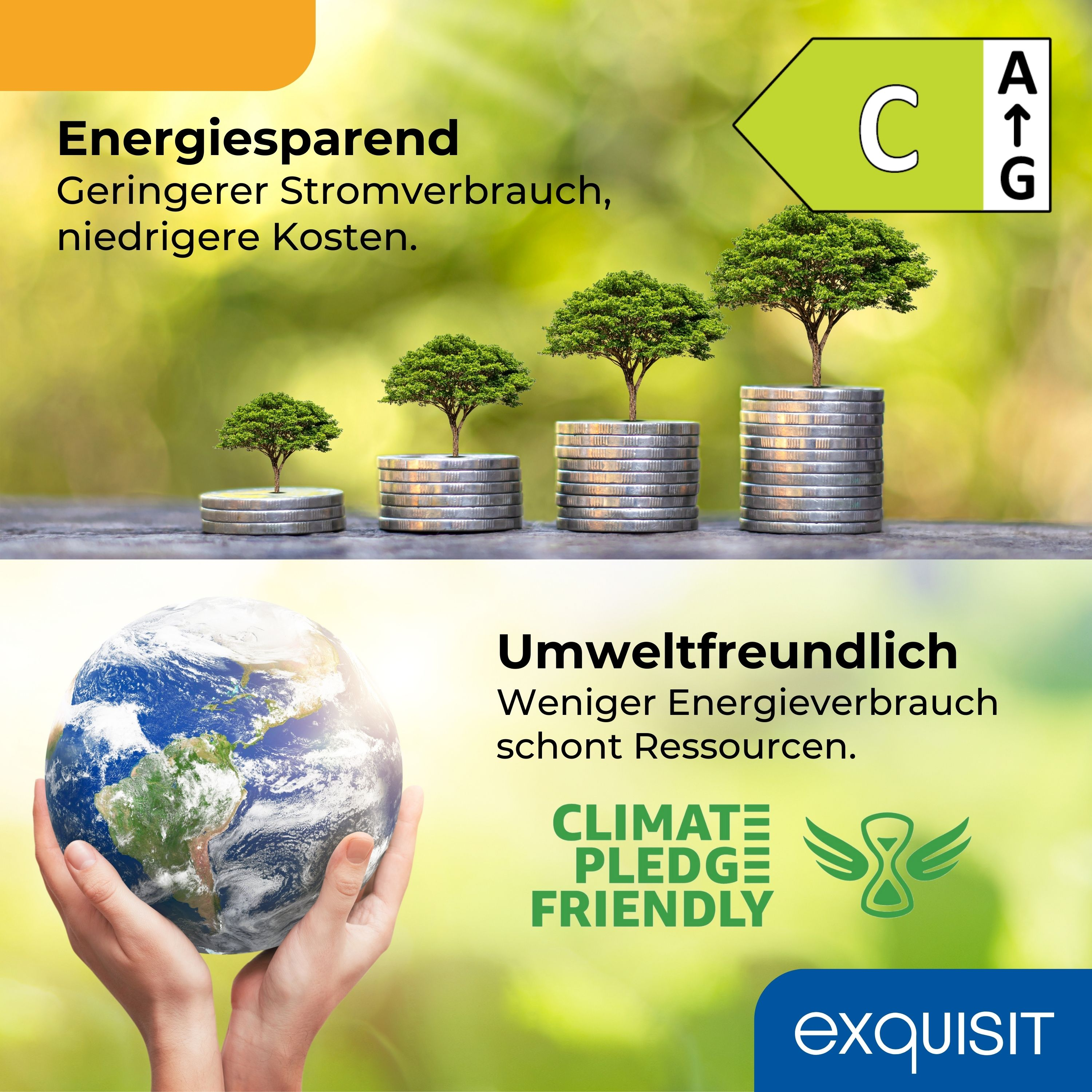 Bild zeigt Bäume, die auf Münzen wachsen, mit energiesparendem und umweltfreundlichem Text.