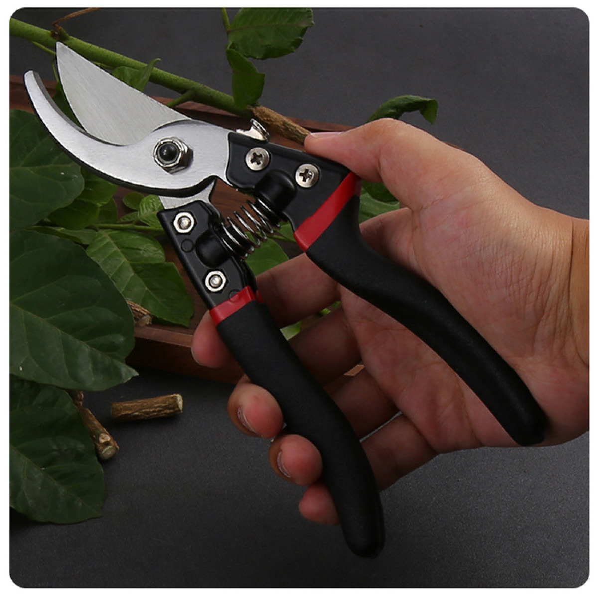 Hand hält Gartenschere. Schere schwarz und silber, rote Akzente. Hintergrund: grüne Blätter.