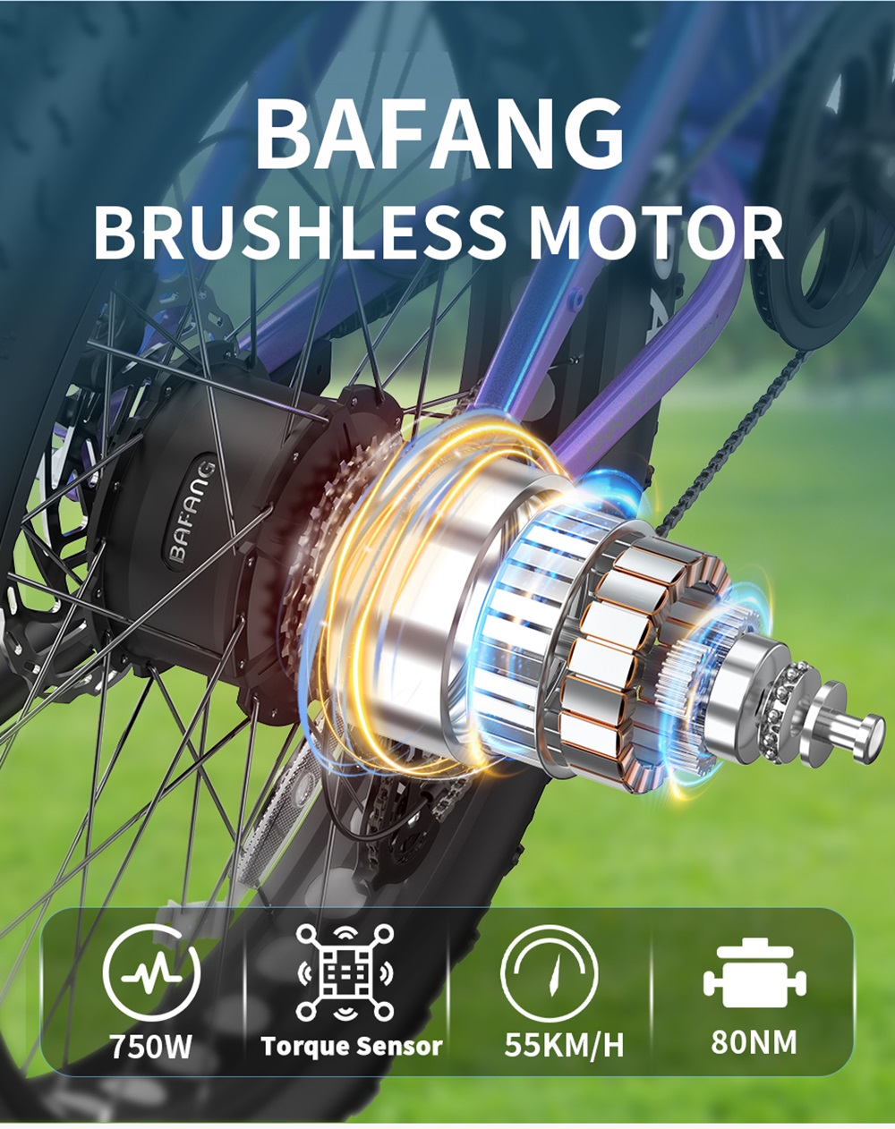 Primo piano di un motore per e-bike con testo: BAFANG BRUSHLESS MOTOR. 750W, Sensore di coppia, 55KM/H, 80NM.