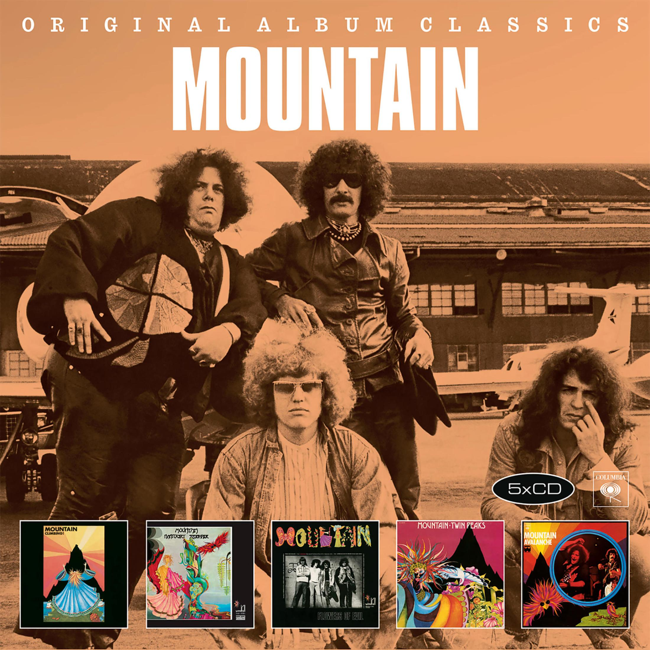 Vier mannen poseren voor een vliegtuig. Het album heet Mountain.
