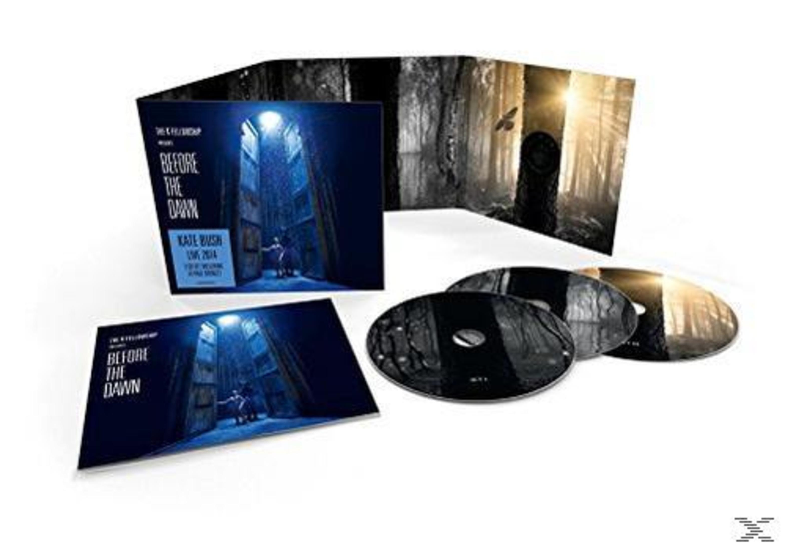 Set dell'album Before the Dawn di Kate Bush. Custodia CD e CD, con un'immagine scura del palco.