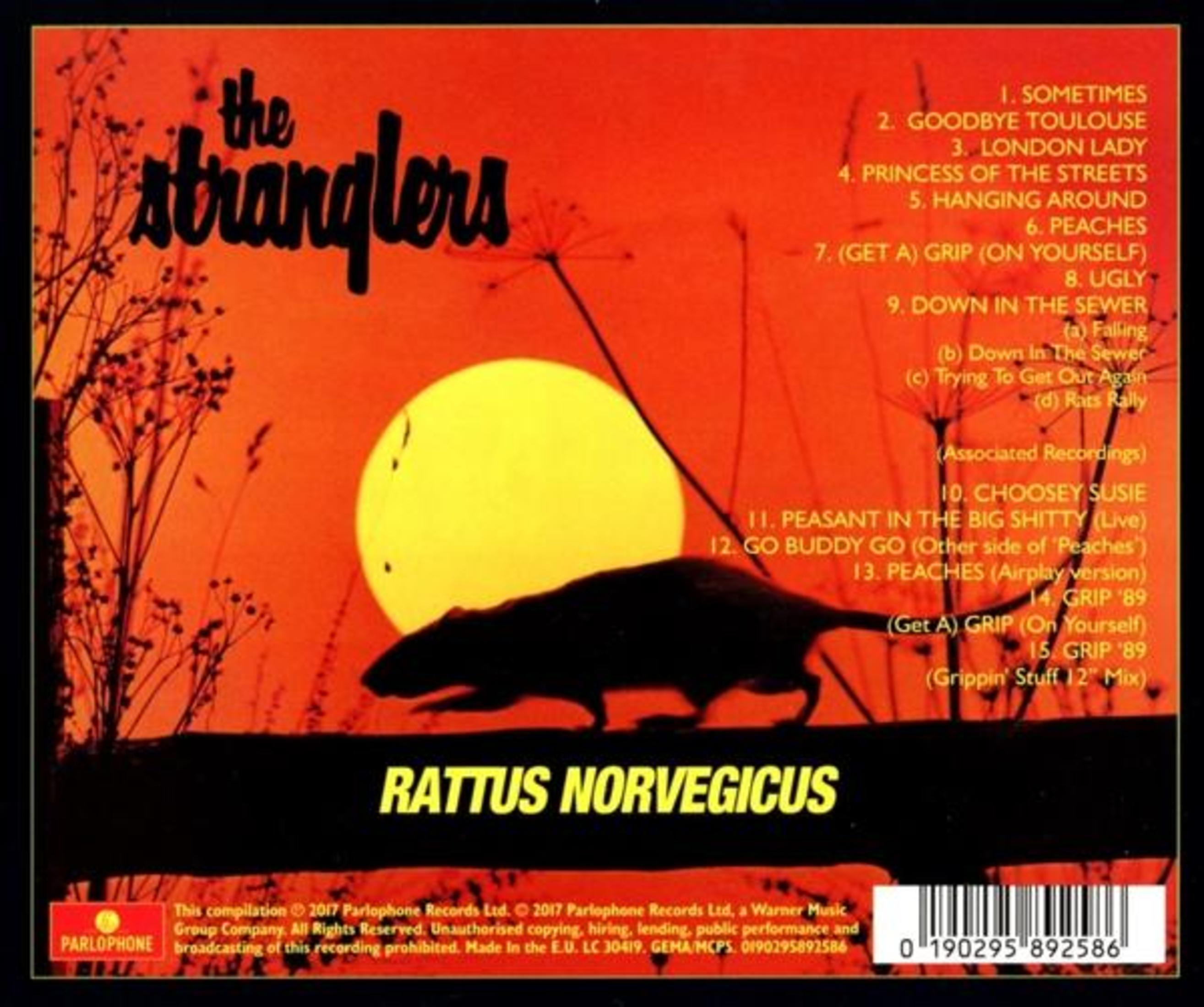 Retro copertina dell'album: Tramonto con sagoma di ratto, nome della band 'The Stranglers' e tracklist.