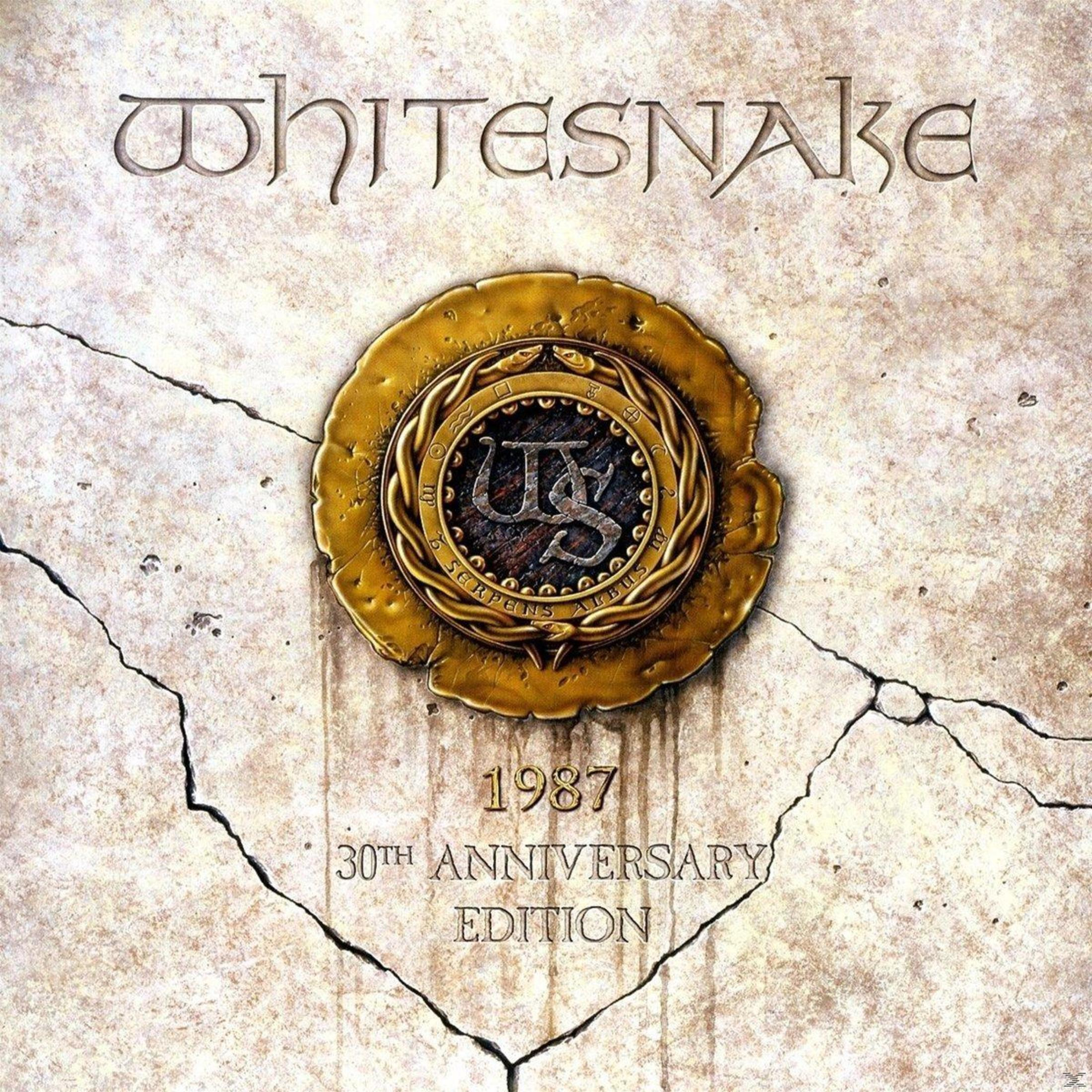Copertina dell'album Whitesnake. Un medaglione d'oro su una superficie di pietra screpolata.