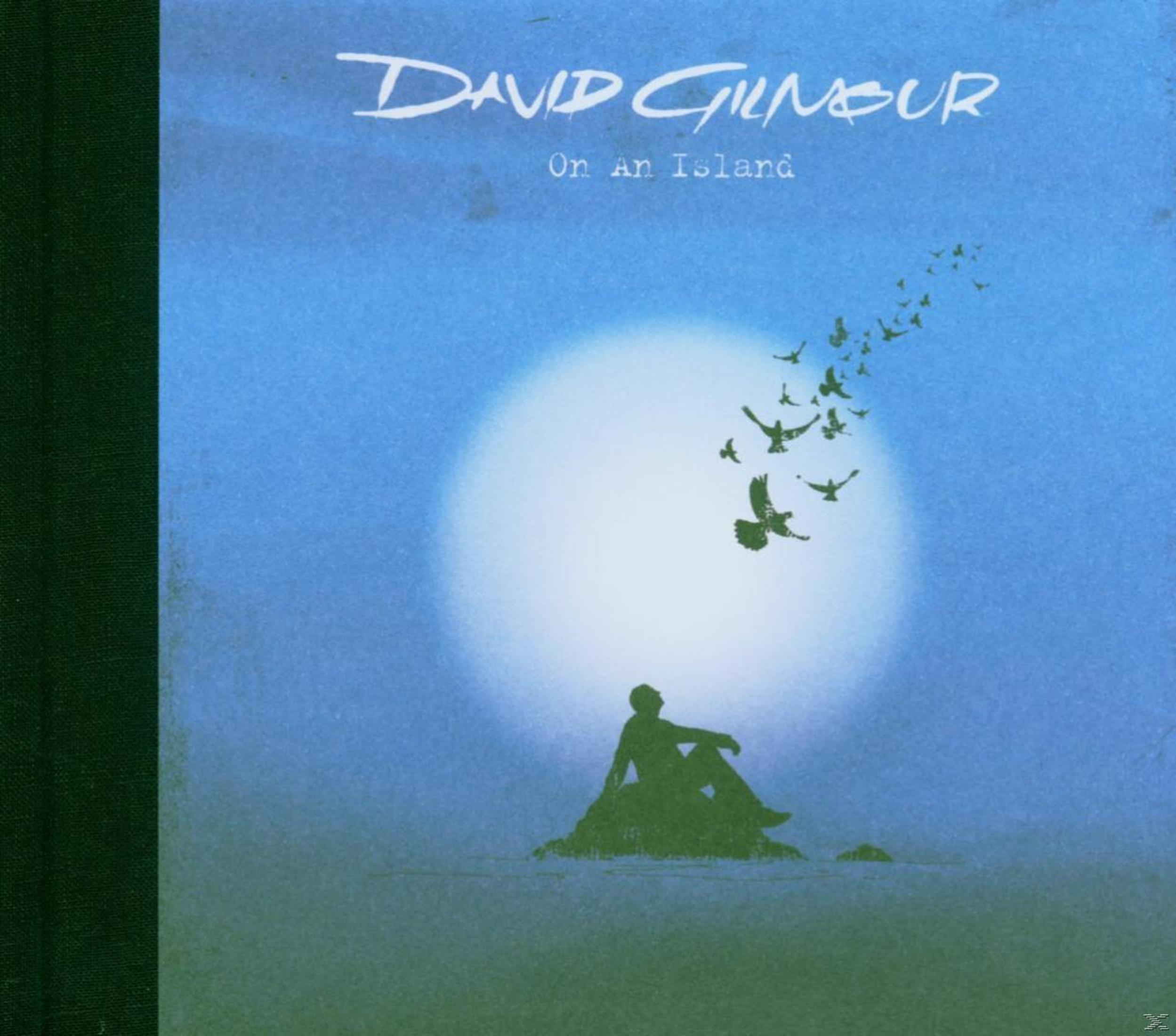 Albumhoes. David Gilmour op een eiland. Silhouet van een zittende man. Vogels vliegen.