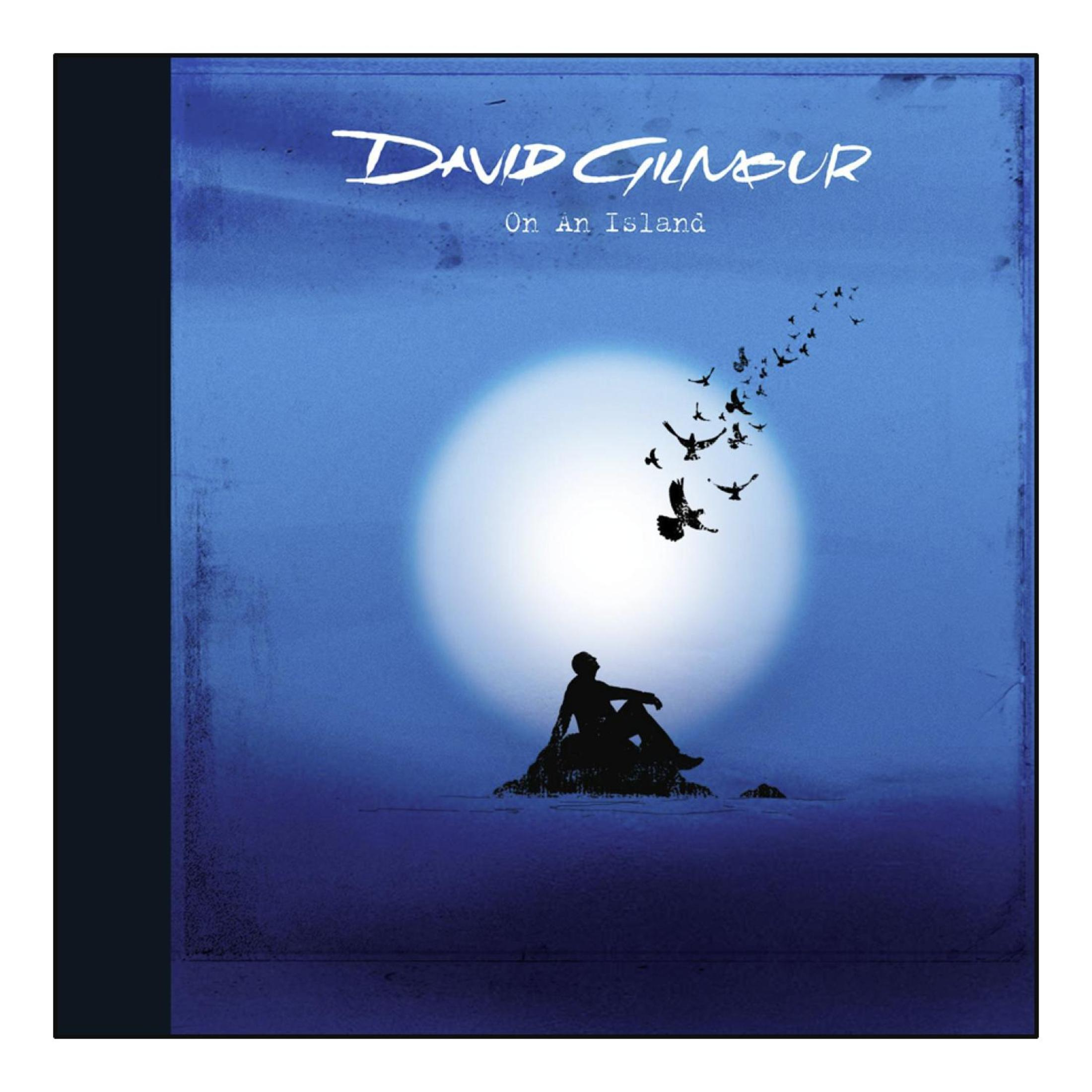 David Gilmour albumhoes: Silhouet van een man op een rots, vogels en maan.