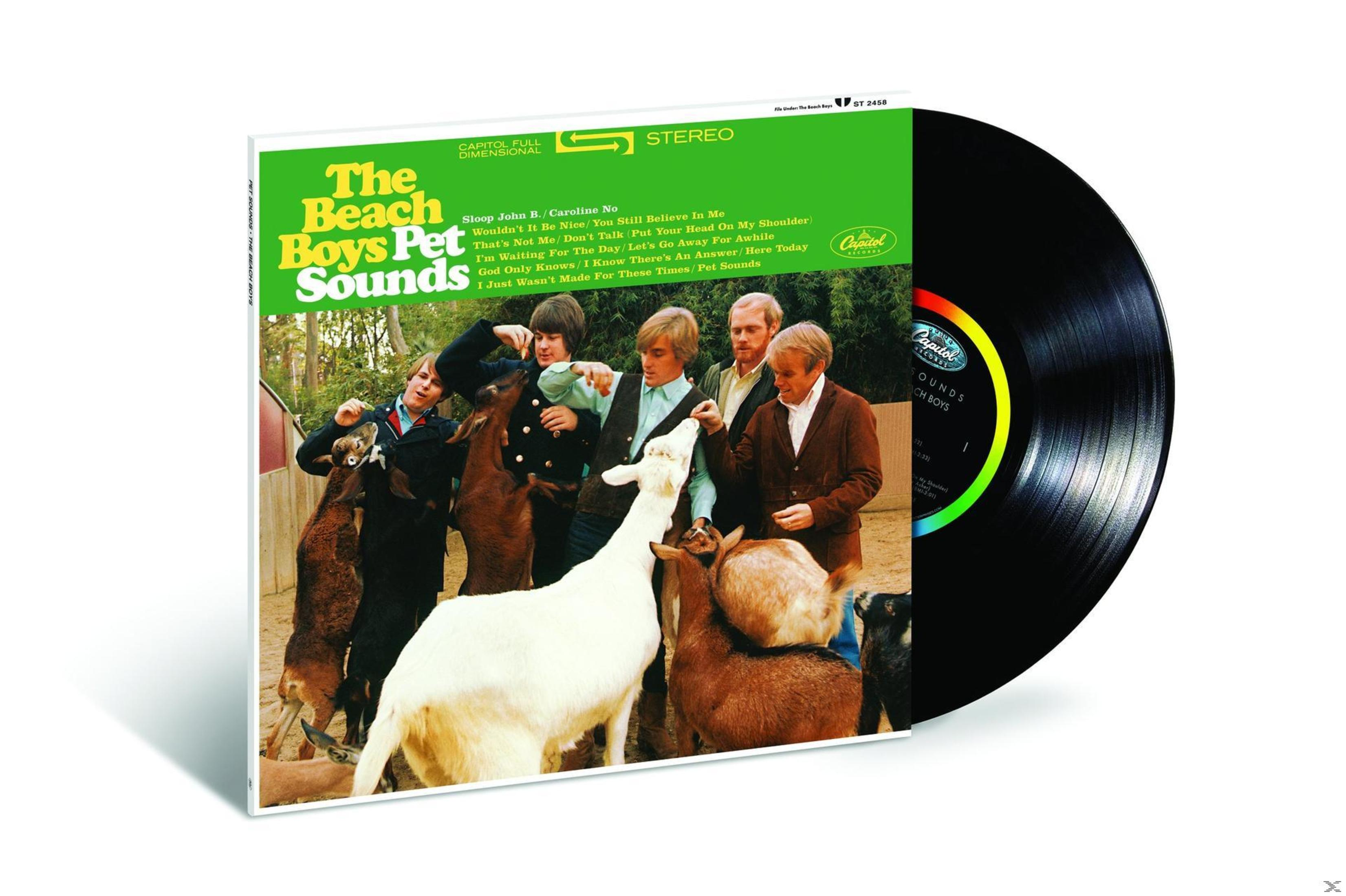 Copertina dell'album dei Beach Boys. Mostra la band e le capre, con un disco sul lato destro.