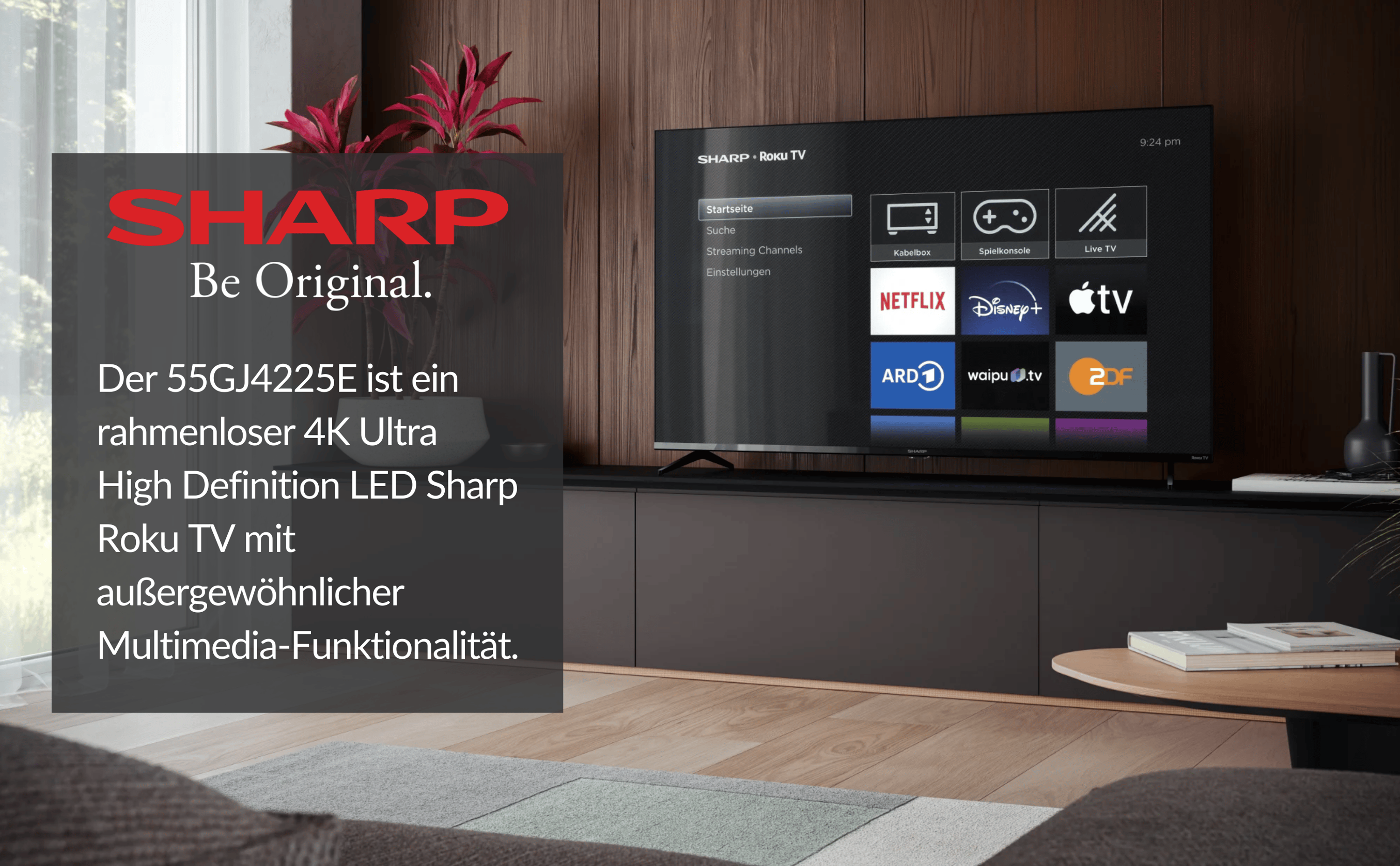 Sharp-Fernseher zeigt Bildschirm mit Roku-Oberfläche, Text-Overlay. Dunkler Hintergrund.