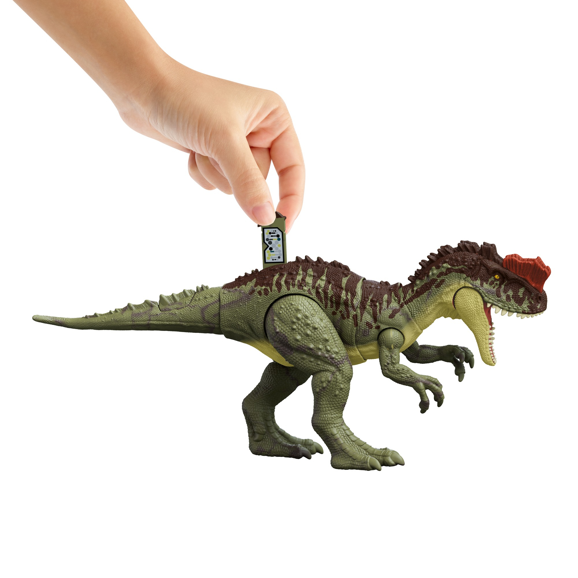 Eine Hand, die eine kleine Karte über einem Dinosaurier-Spielzeug hält. Dinosaurier ist grün und braun.