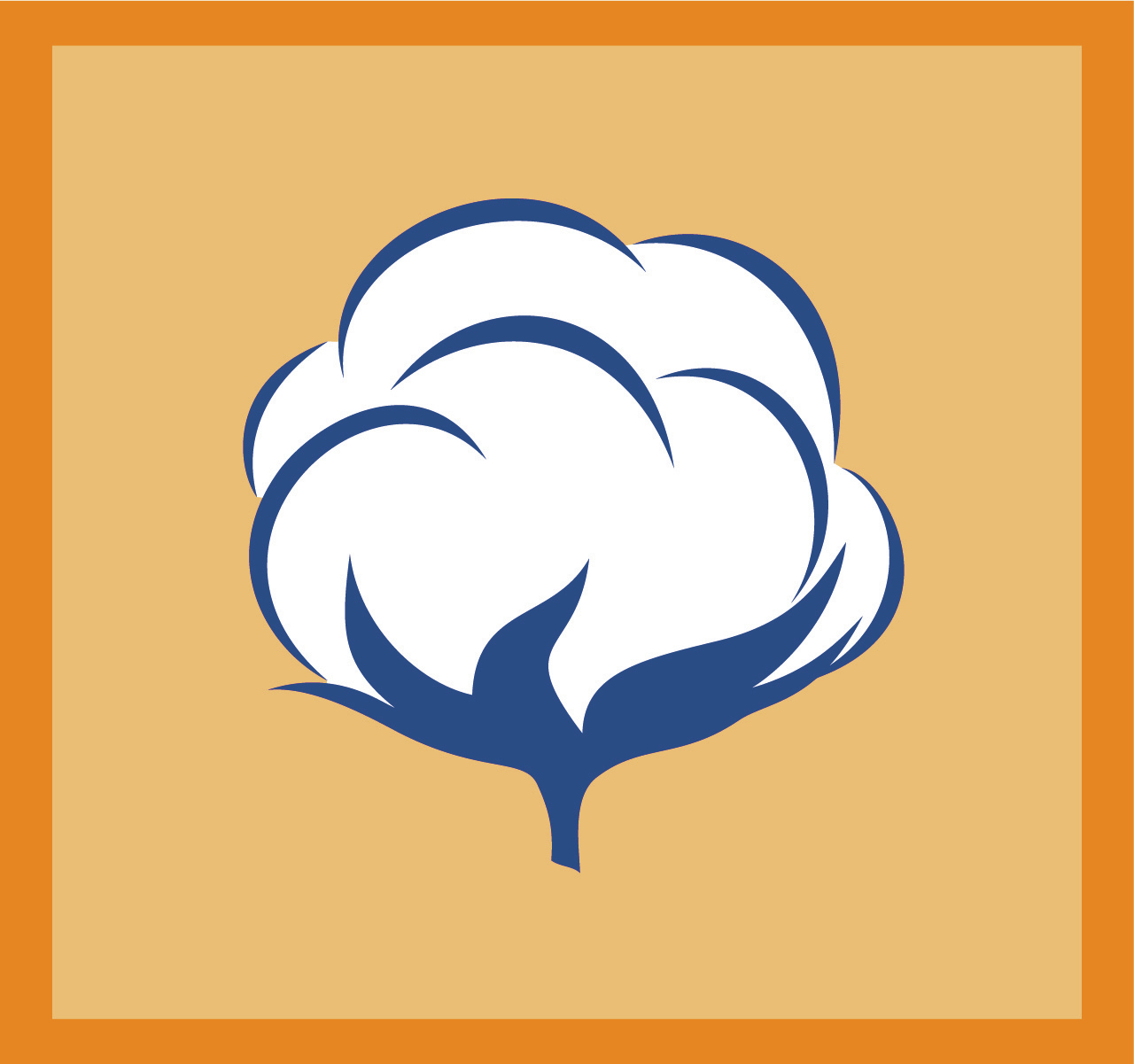 Biały kwiat bawełny w kwadratowej pomarańczowej ramce na jasno pomarańczowym tle.