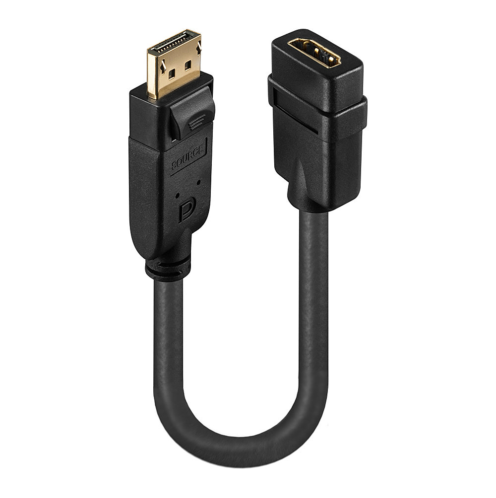 Schwarzes DisplayPort-zu-HDMI-Adapterkabel, an die Anschlüsse angeschlossen.