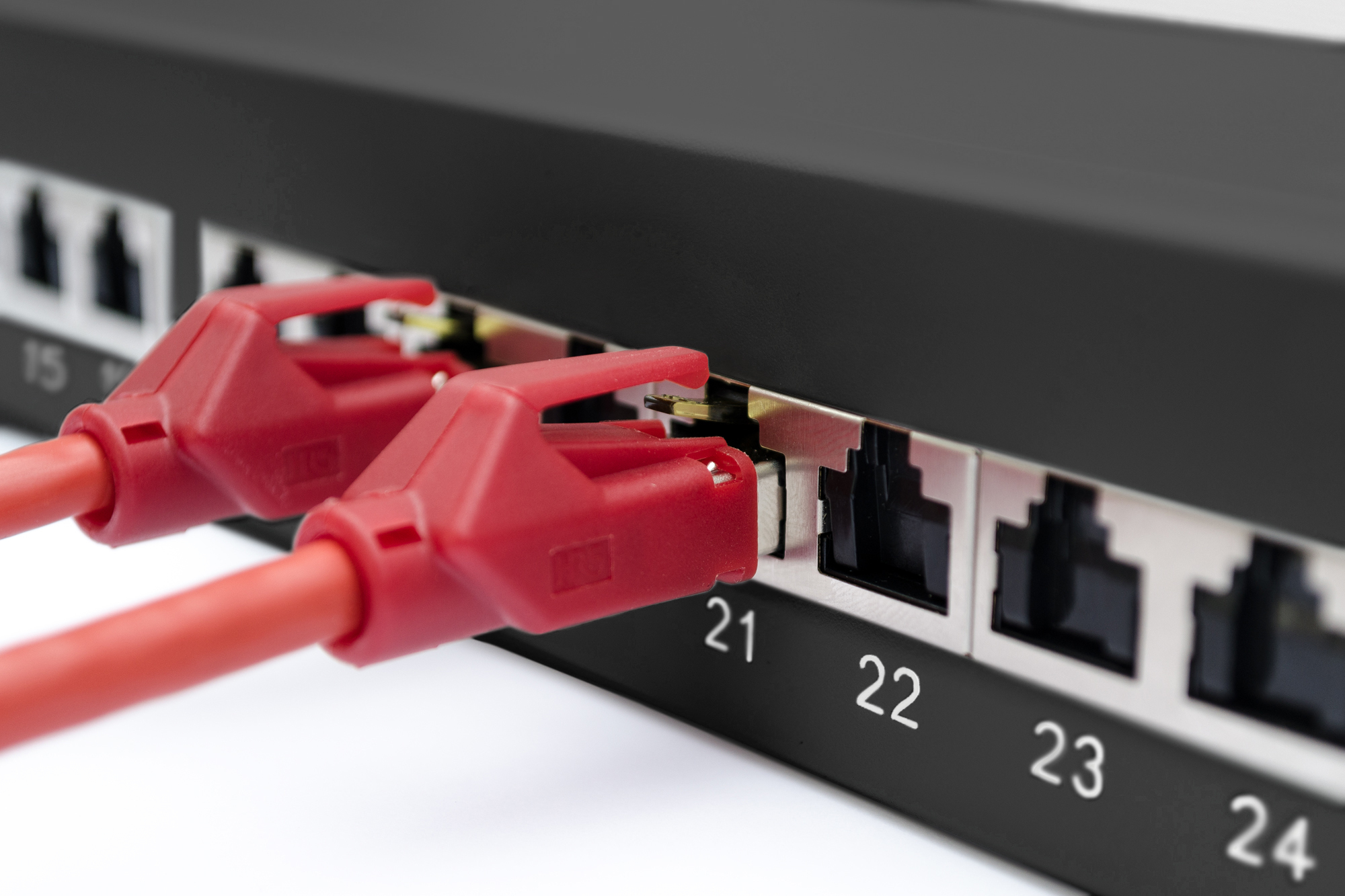 Rote Netzwerkkabel in ein schwarzes Patchpanel gesteckt. Nahaufnahme. Weißer Hintergrund.
