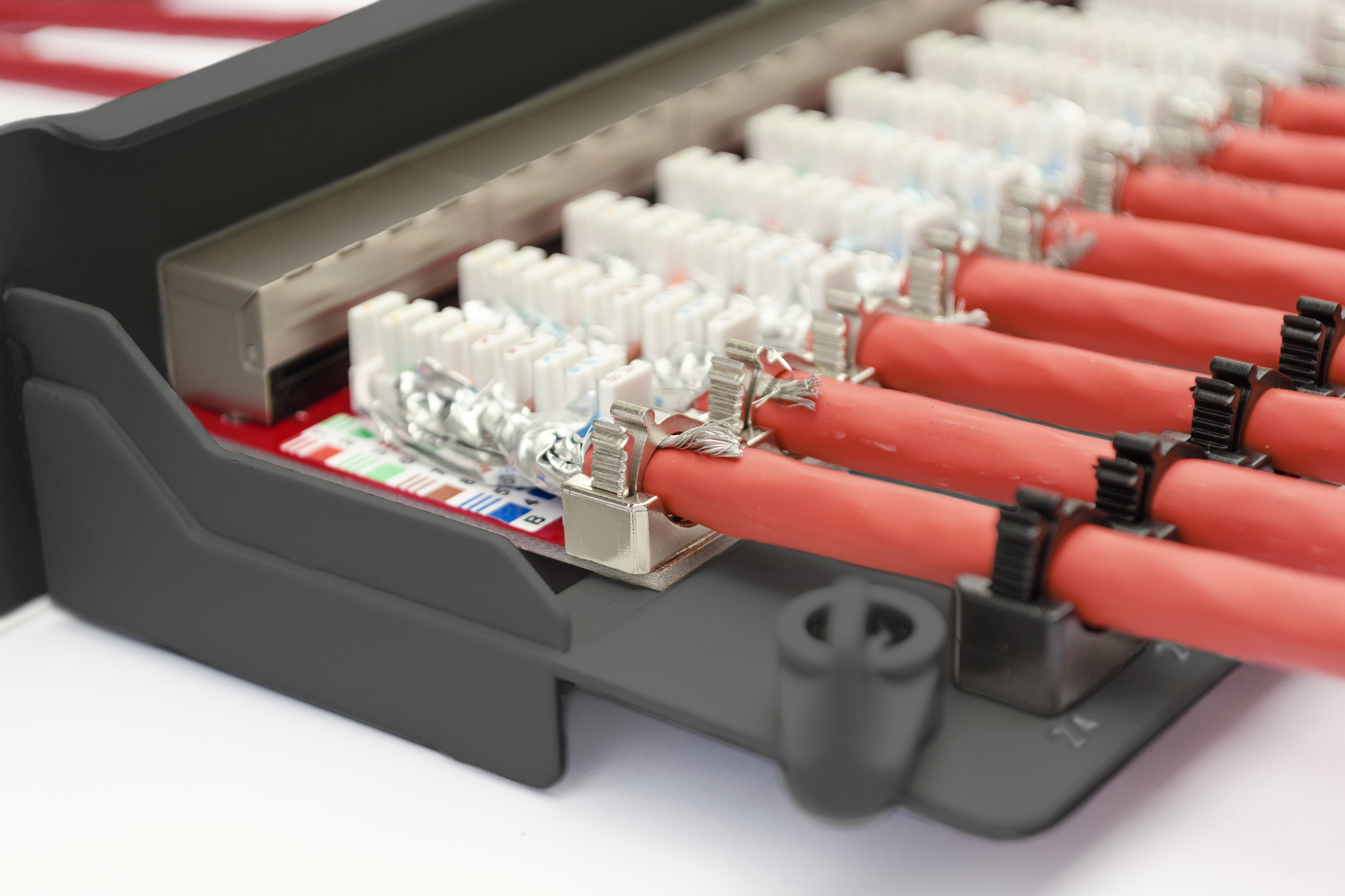 Nahaufnahme von roten Kabeln, die an ein Patchpanel angeschlossen sind. Weiße und graue Stecker sichtbar.