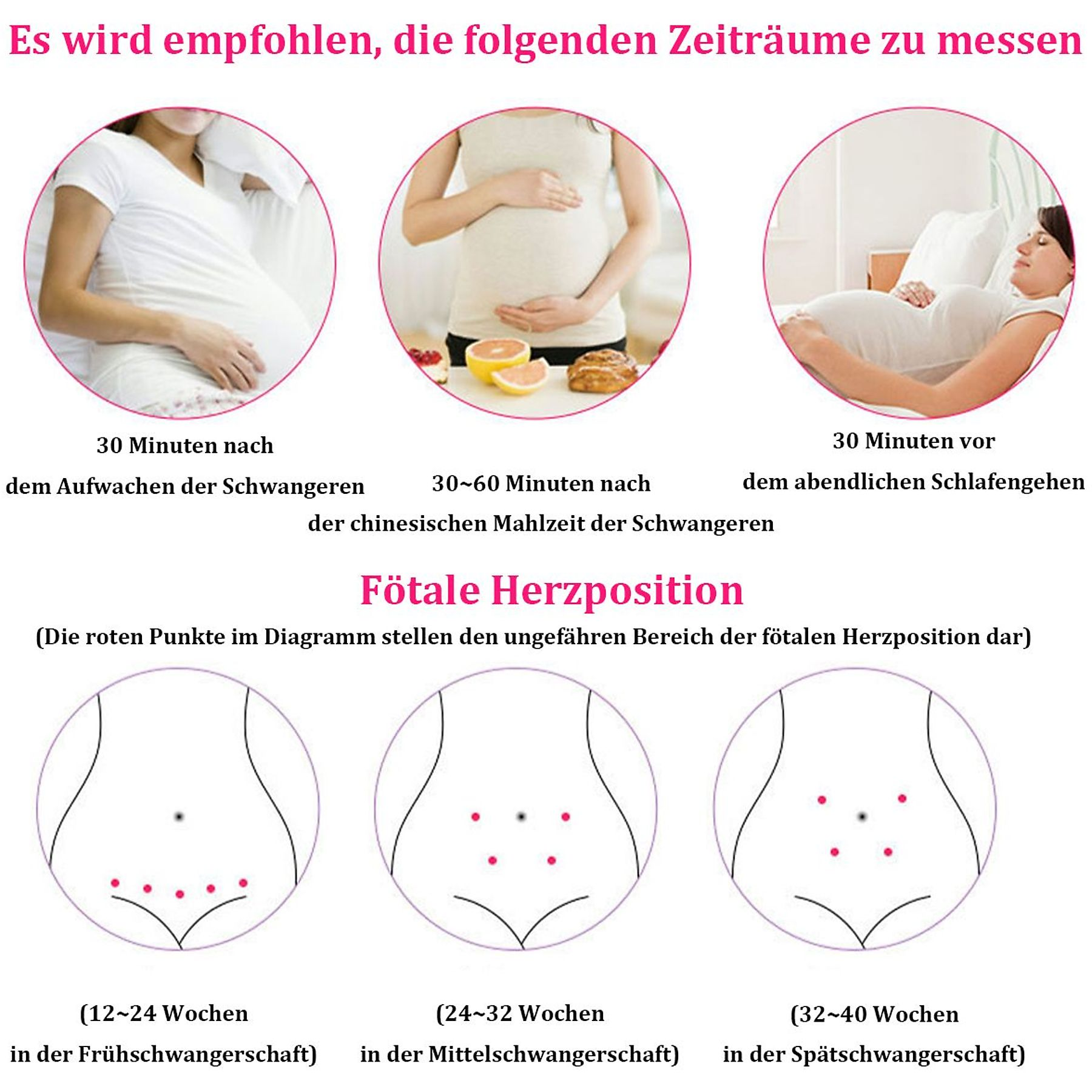 Diagramm mit schwangeren Frauen und Bauchillustrationen. Zeigt fetale Herzpositionen in verschiedenen Wochen.