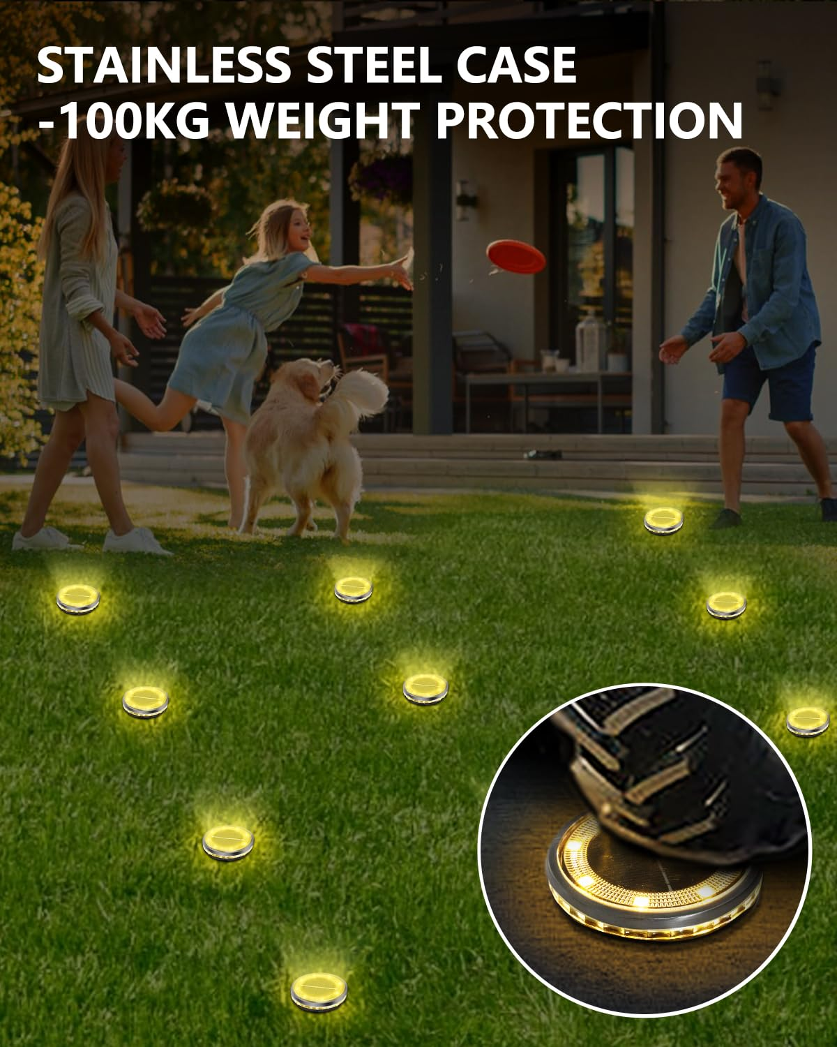 Menschen spielen Frisbee auf Gras, mit Bodenlichtern, die den Bereich beleuchten. Ein Hund ist anwesend.