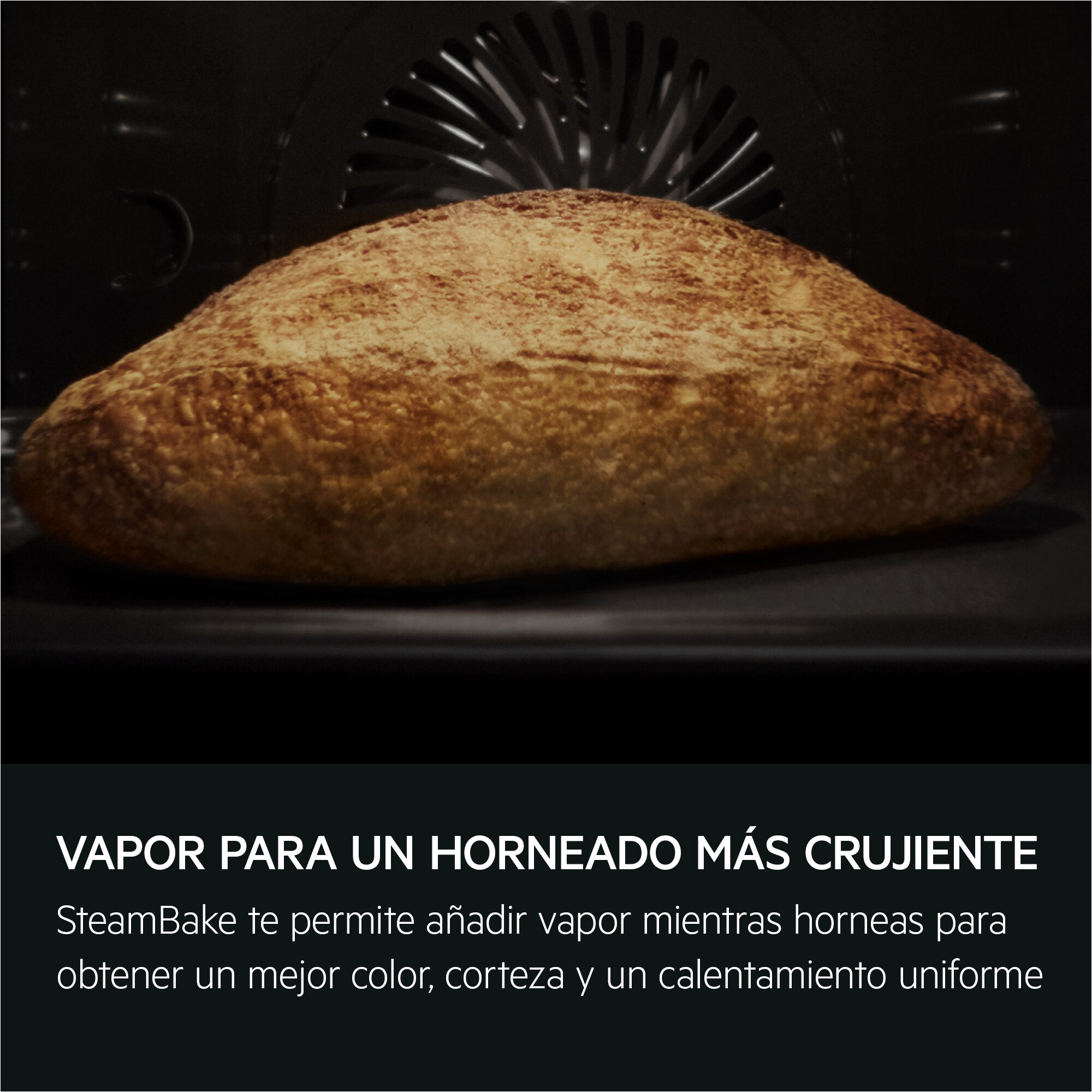 Primo piano di pane cotto in forno. La crosta è dorata, l'interno del forno è scuro.
