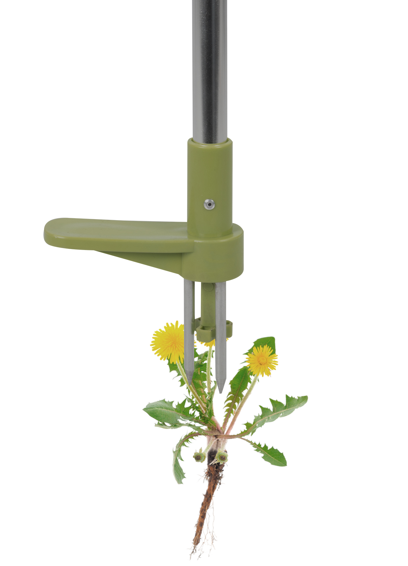Wietstekker, groen en zilver, met gele paardenbloem en wortels.