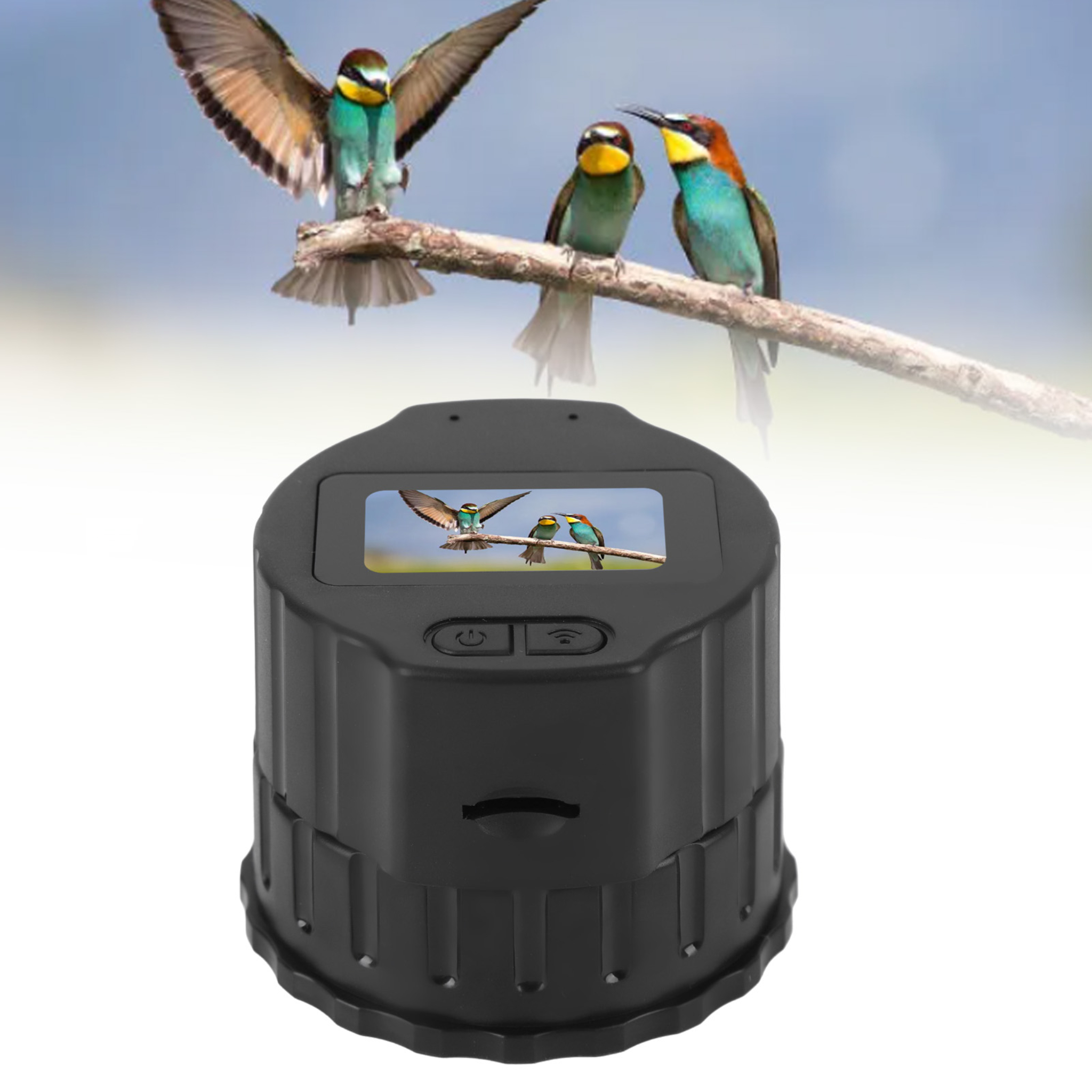 Ein schwarzes Vogelbeobachtungsgerät zeigt Vögel auf einem Ast, mit fliegenden Vögeln.