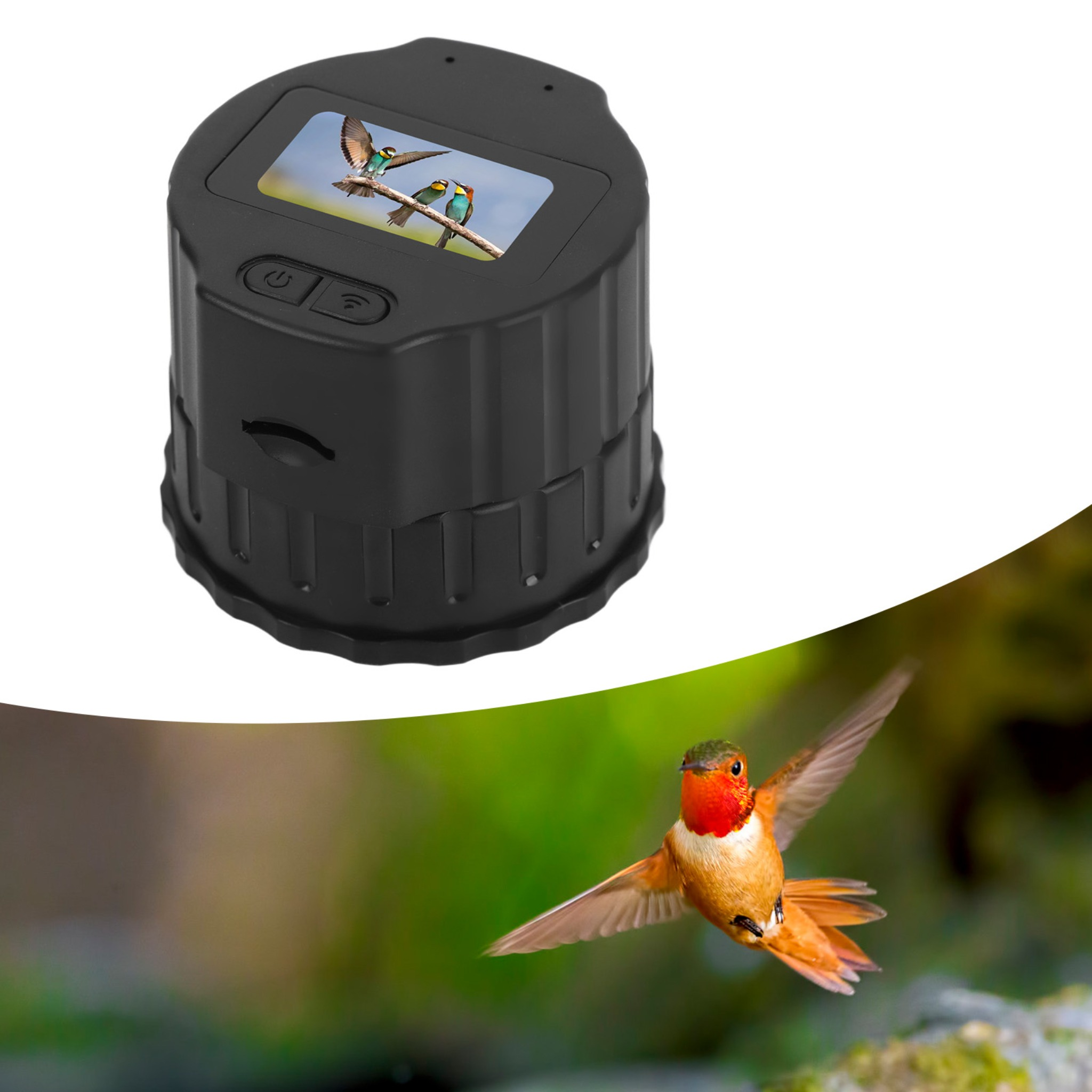Schwarzer Vogelfutterautomat mit Bildschirm, der Vögel zeigt. Ein Kolibri fliegt vor grünem Hintergrund.
