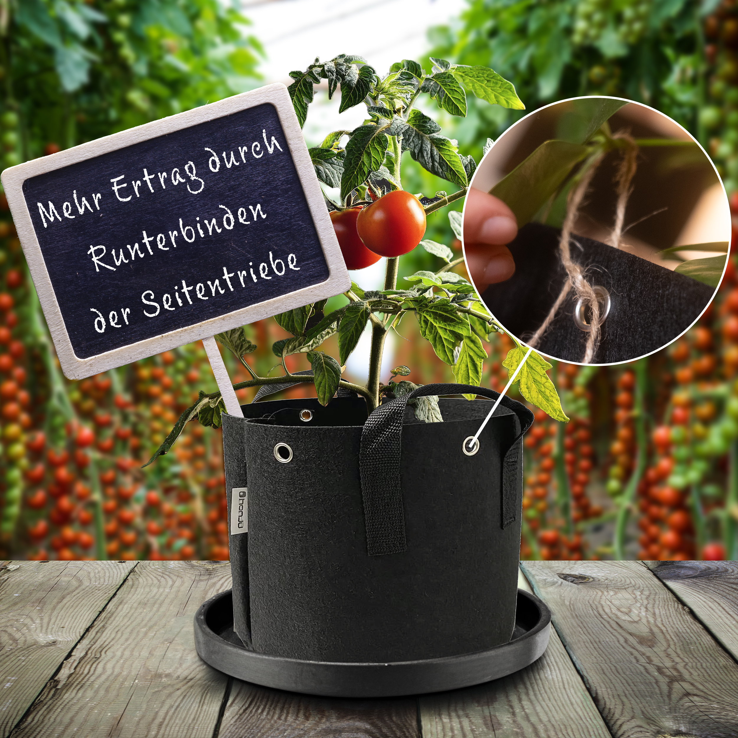 Tomatenpflanze in einem schwarzen Topf mit einem Schild, das besagt, Seitentriebe anzubinden.