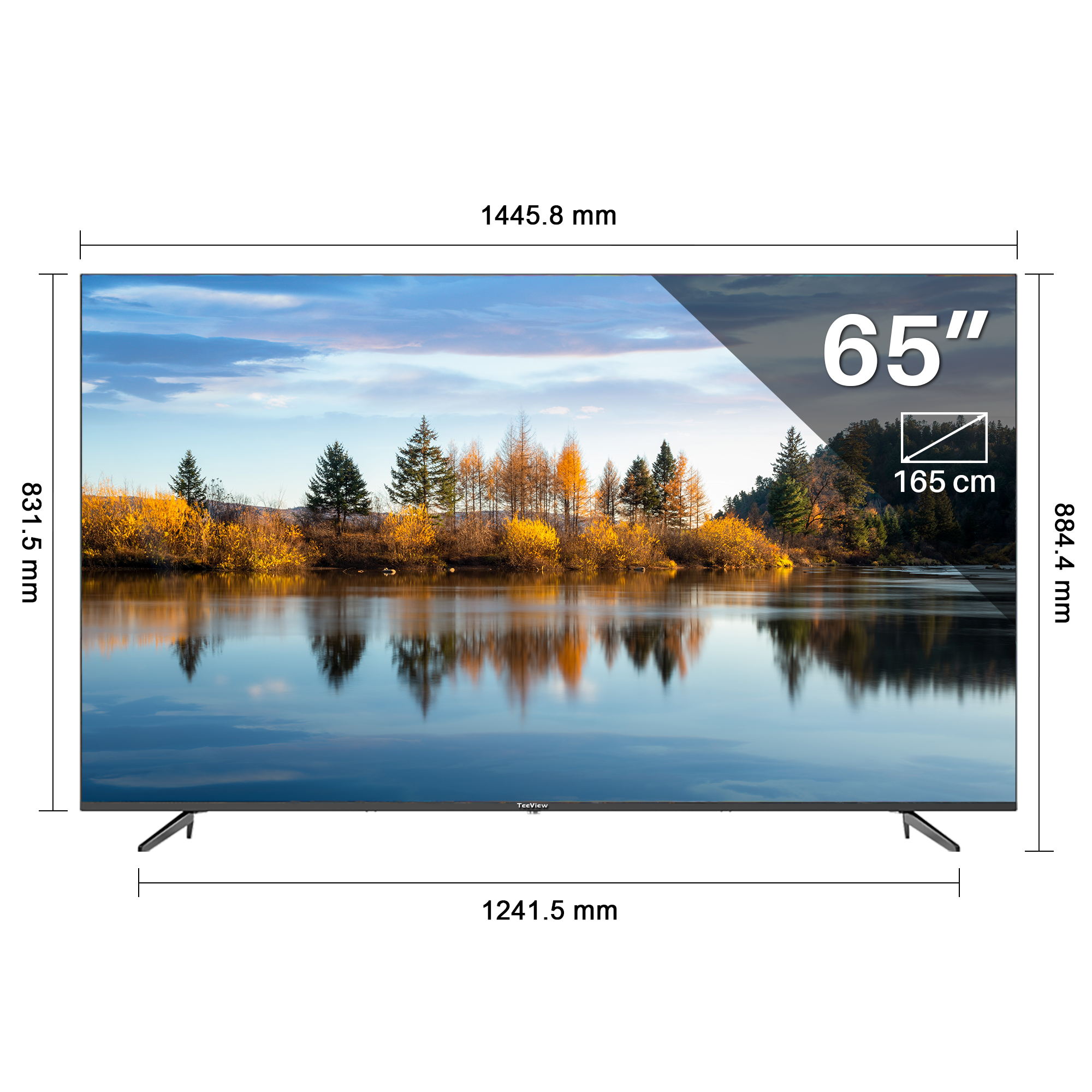 Een 65-inch tv met een landschapsbeeld op het scherm. Metingen worden rond de randen weergegeven.