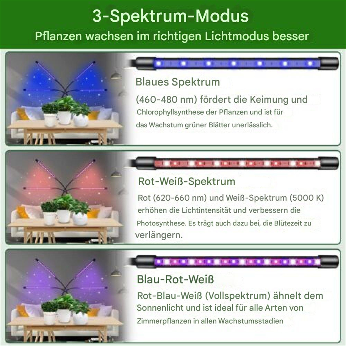 Diagramm mit drei Spektrenmodi für Pflanzenwachstum mit Illustrationen und Textbeschreibungen.