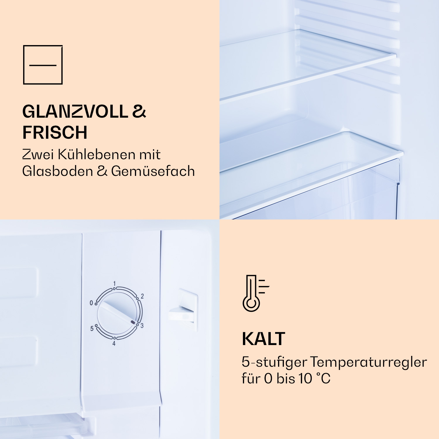 Innenraum eines Kühlschranks mit Glasböden, Gemüsefach und Temperaturregelung.