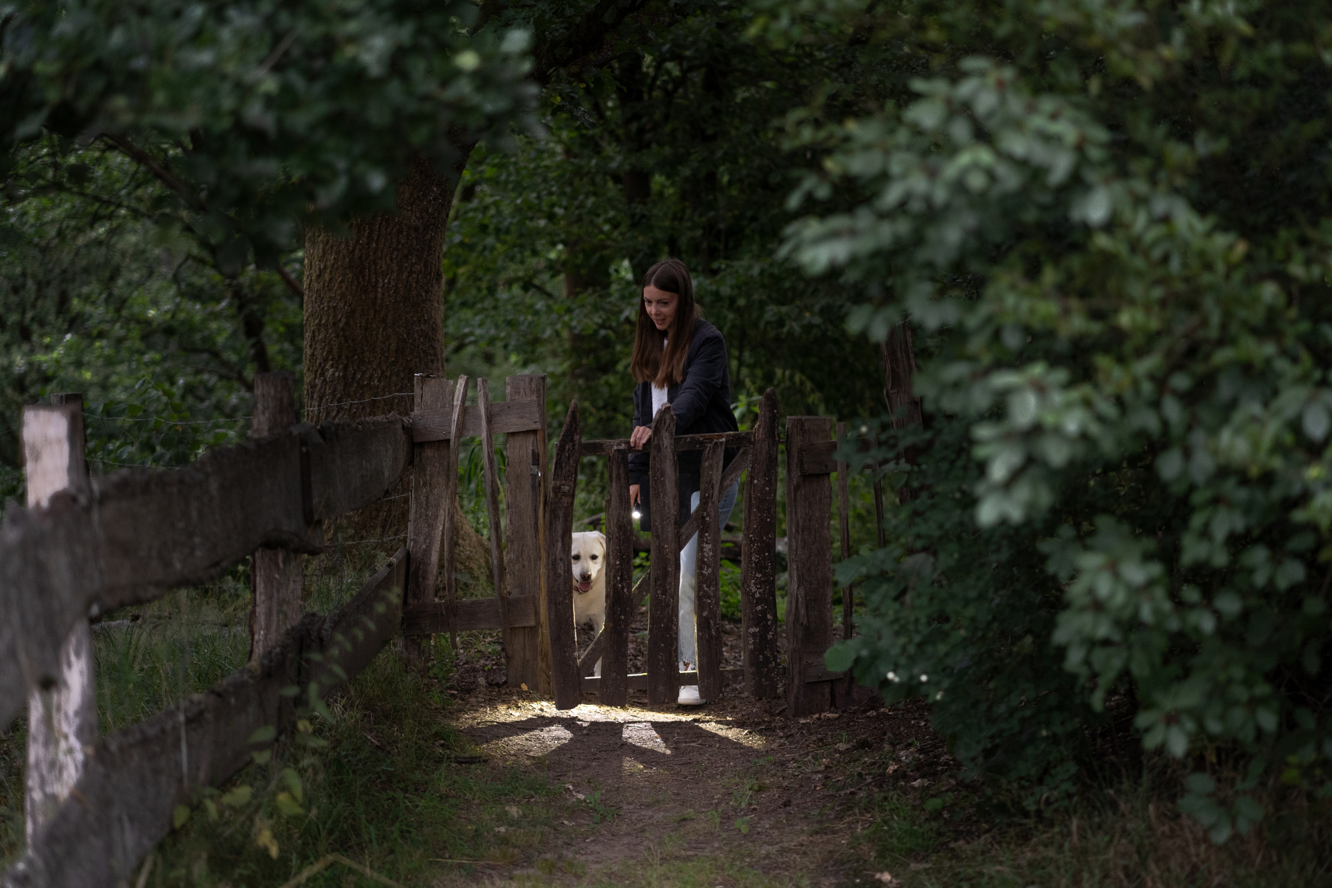 Kobieta otwiera drewnianą bramę, przez którą wygląda pies, w zielonym, zalesionym otoczeniu.