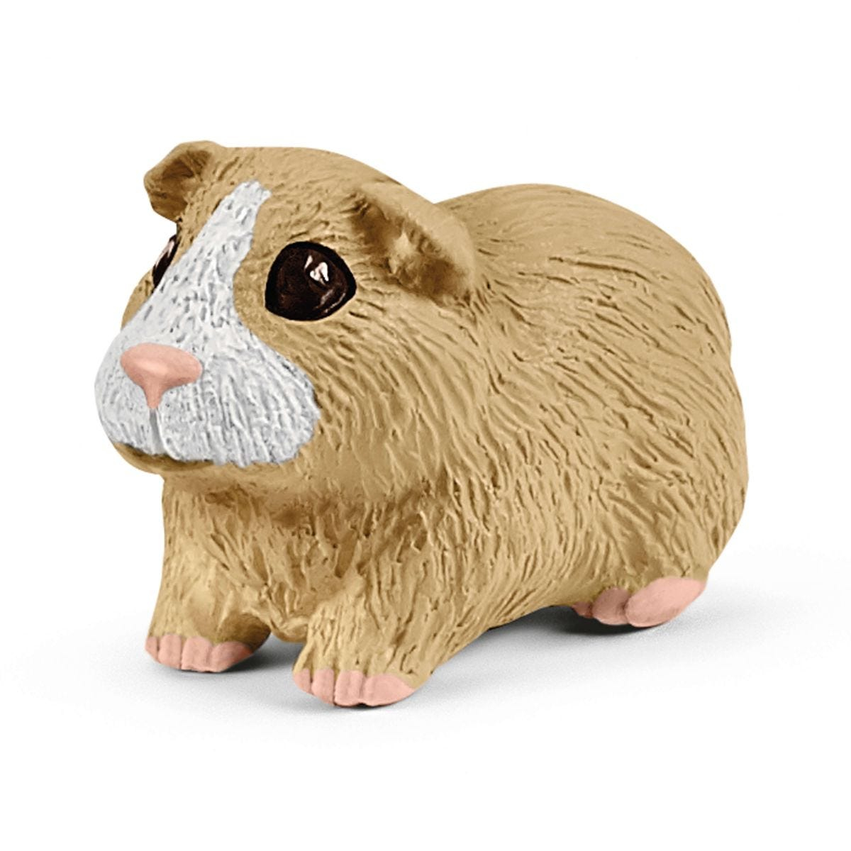 Se ve un conejillo de indias marrón. Tiene la cara blanca y la nariz y las patas rosas.