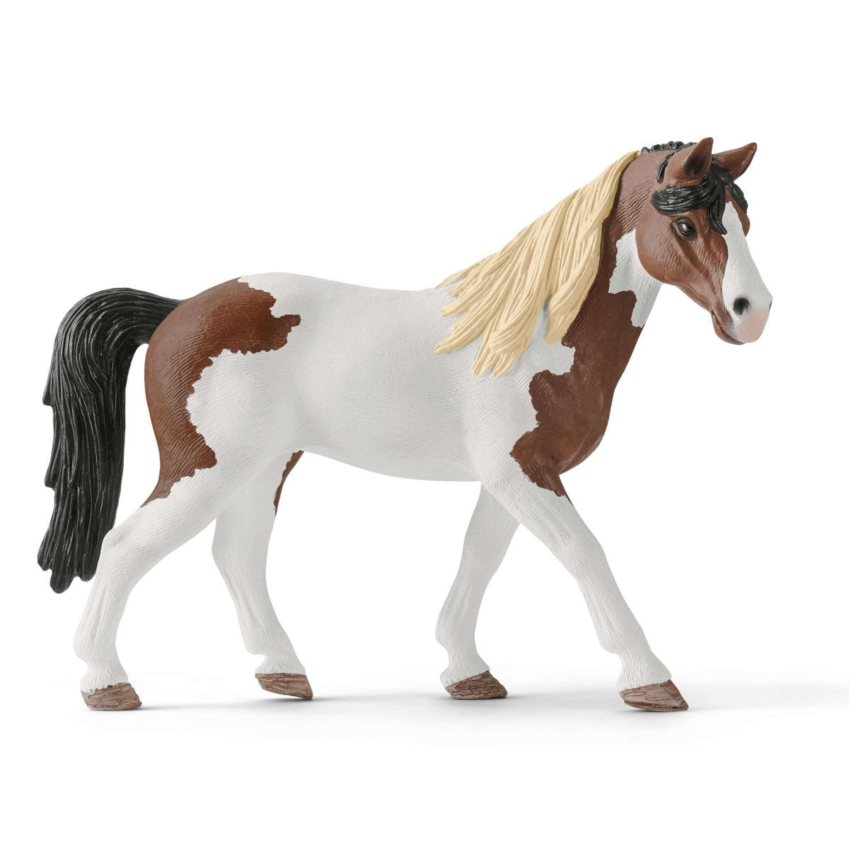 Ein braunes und weißes Pferd mit blondem Mähne, stehend auf weißem Hintergrund.