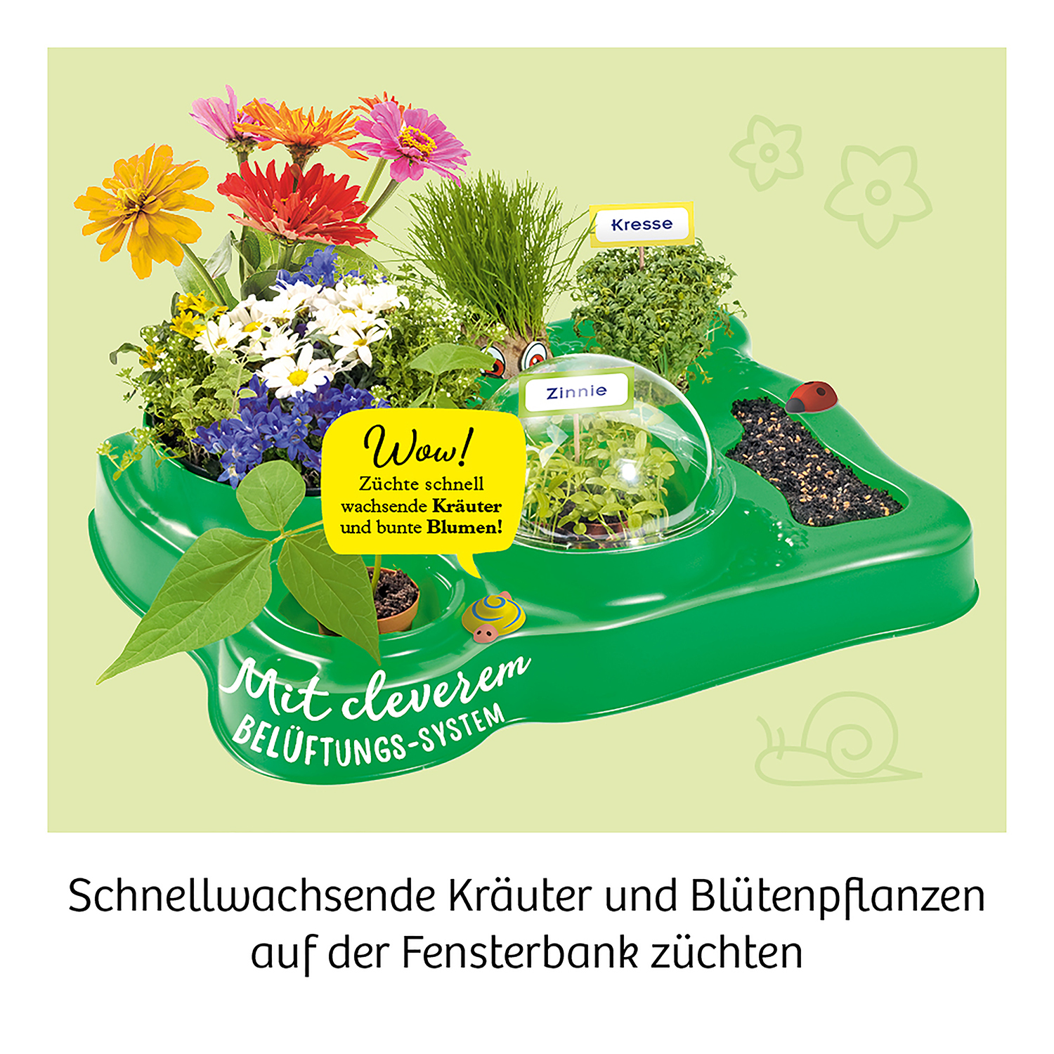 Ein grüner Pflanzer mit verschiedenen Blumen, Kräutern und einer durchsichtigen Kuppel, mit deutschem Text. Eine Schnecke und ein Marienkäfer sind vorhanden.