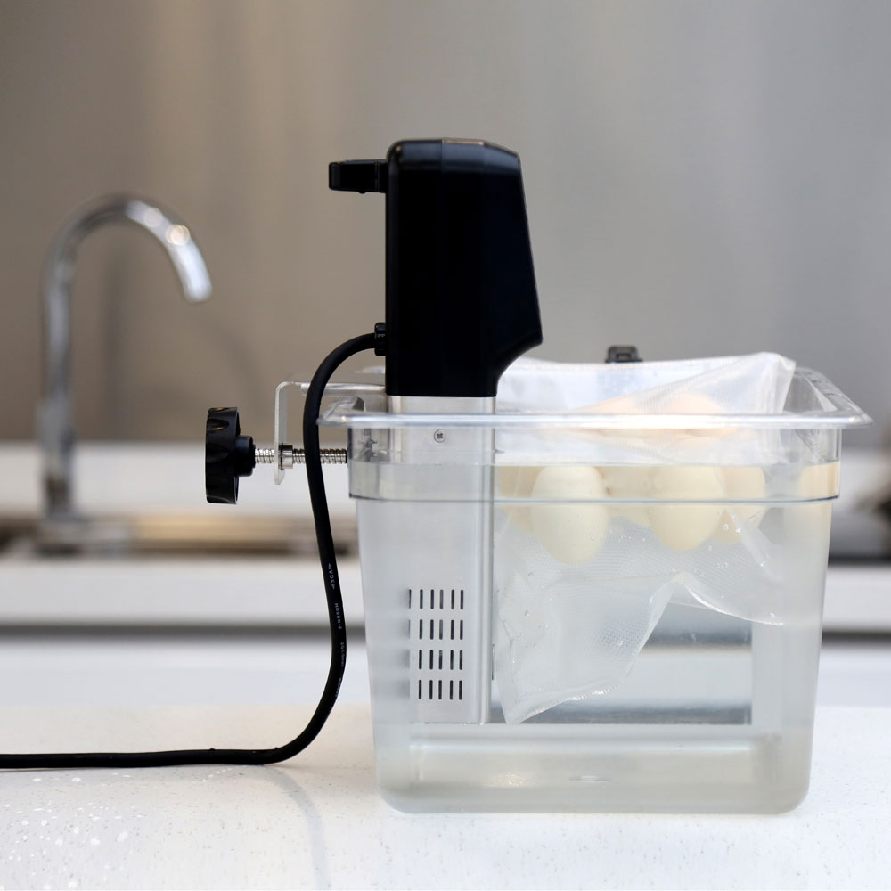 Ein Immersion Circulator in einem transparenten Behälter. Der Behälter enthält Wasser und Essen in einem Beutel.