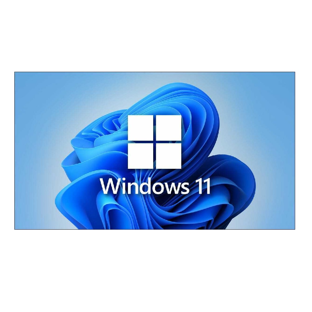 Windows 11 Logo vor blauem Hintergrund. Das Logo hat vier weiße Quadrate auf einer abstrakten blauen Form.