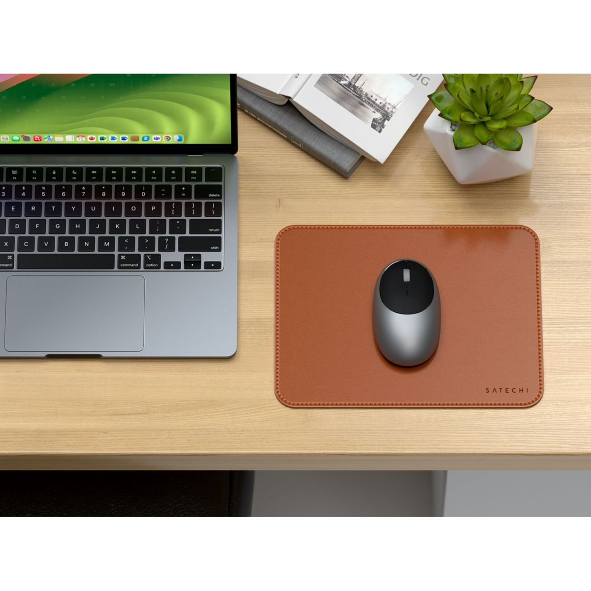 Laptop, Maus, Mauspad und Pflanze auf Holzschreibtisch.