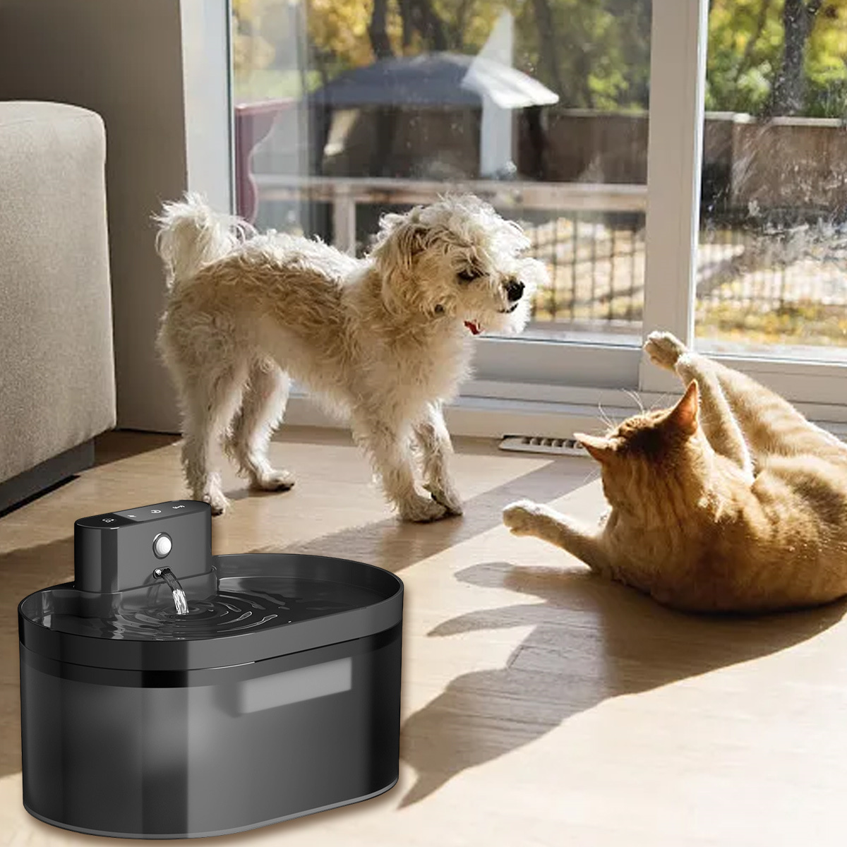 Ein weißer Hund steht in der Nähe eines Wasserbrunnens. Eine orangefarbene Katze liegt auf dem Boden.