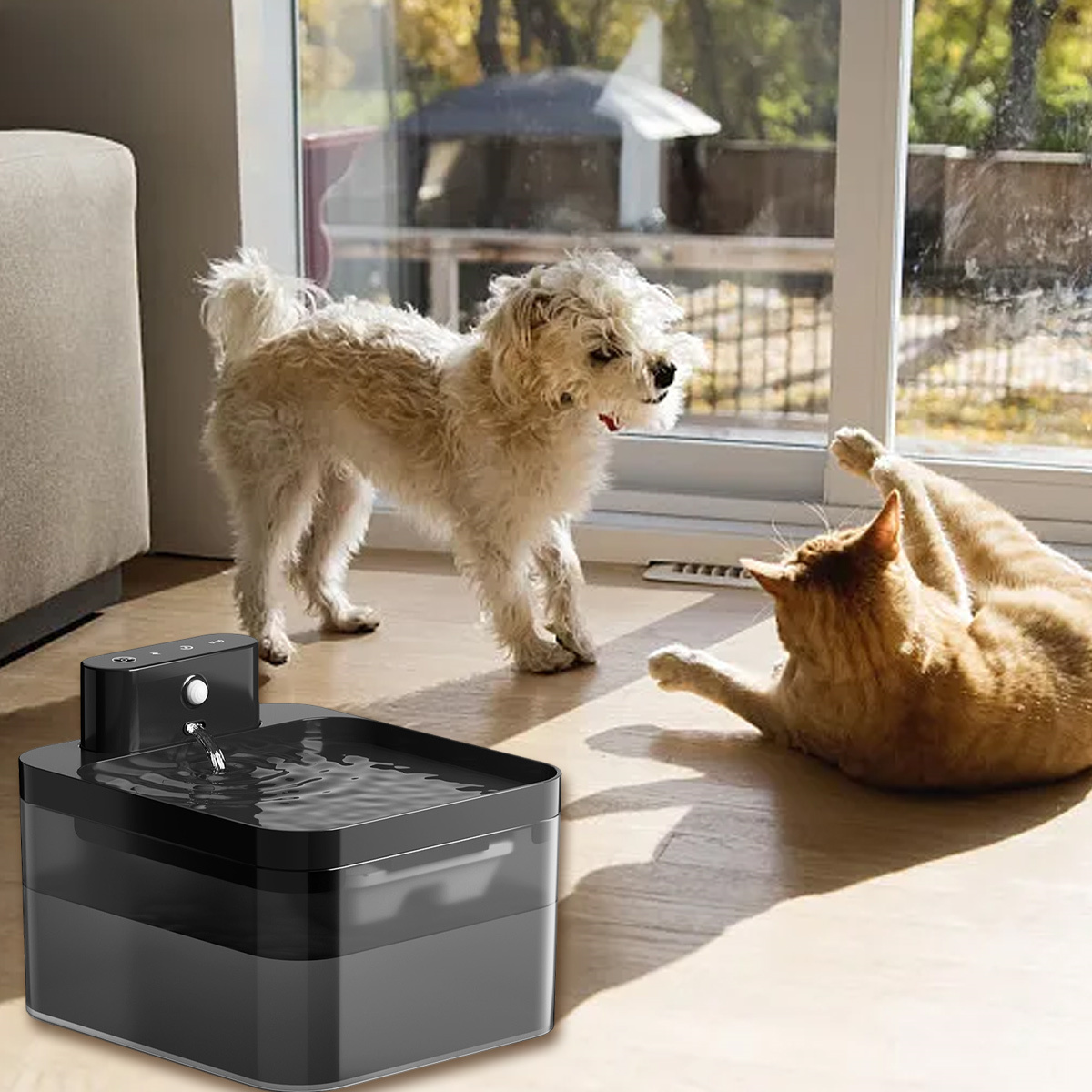 Hund und Katze interagieren in der Nähe eines Wasserspenders in Innenräumen, mit Fenster im Hintergrund.