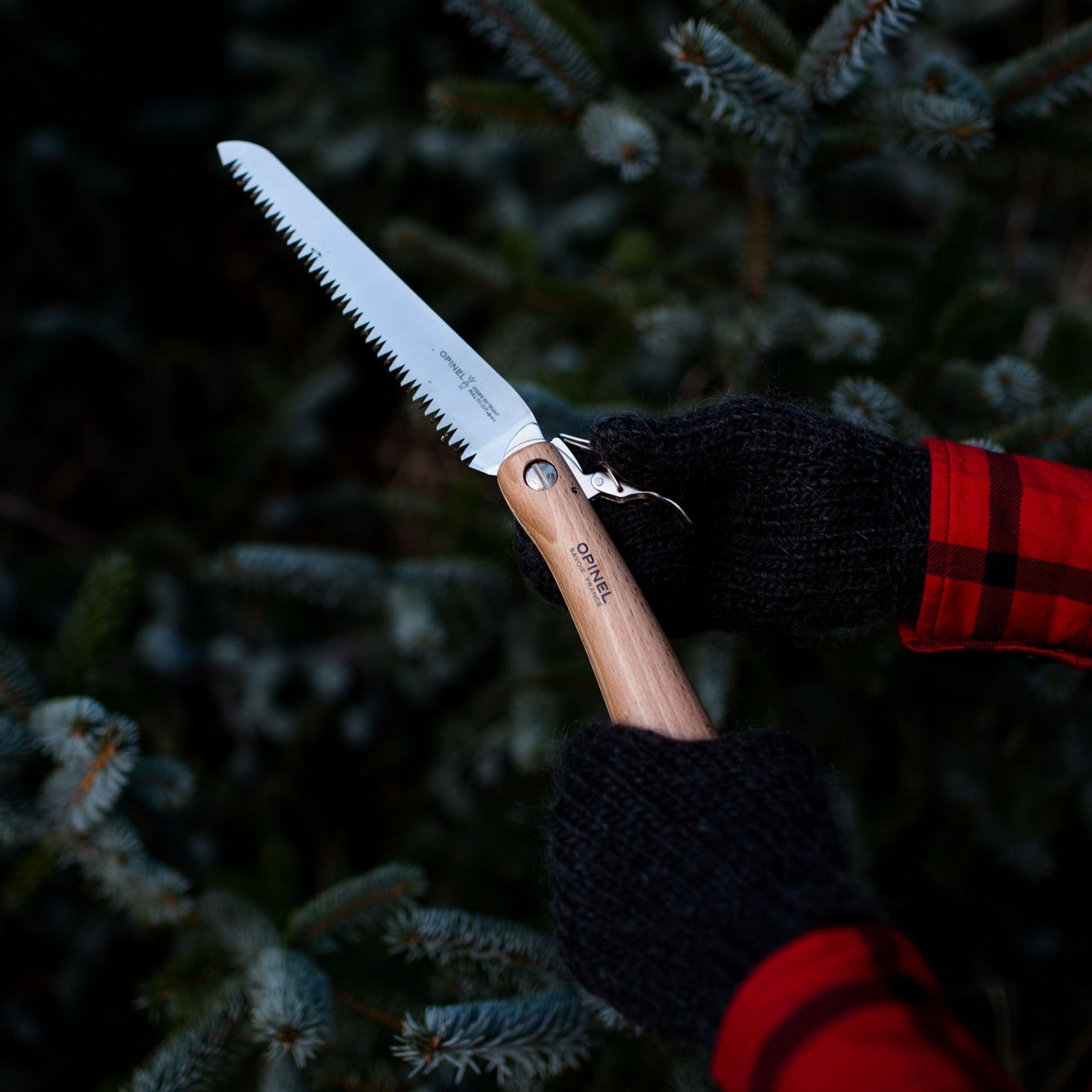 Osoba w czarnych rękawicach trzyma piłę składaną w pobliżu sosny.