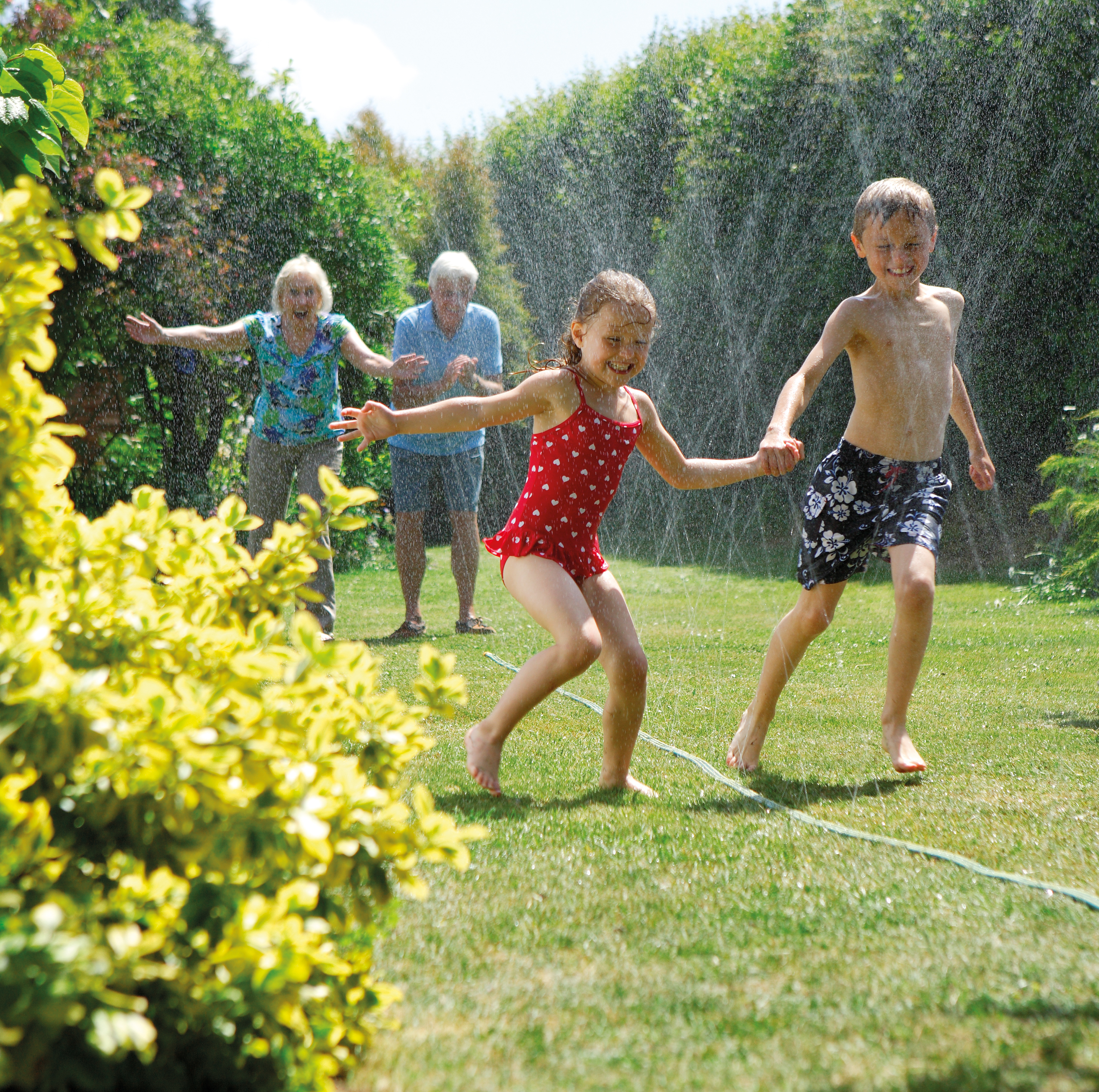 Kinder spielen im Rasensprenger auf dem Rasen, Erwachsene schauen zu. Sonniger Tag.