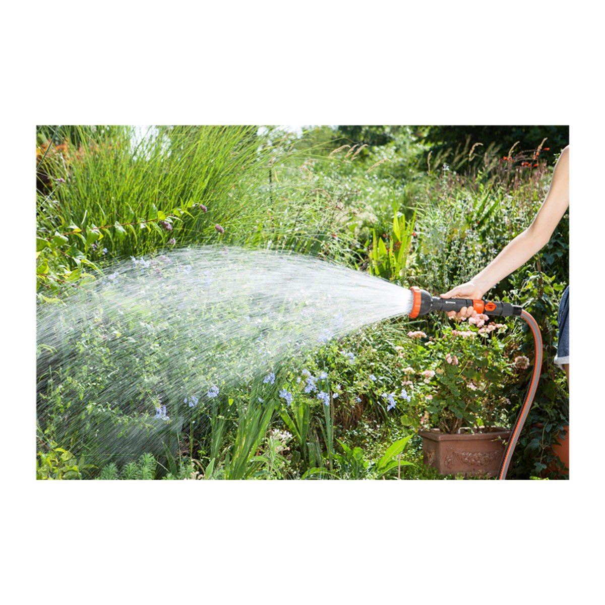 Una persona innaffia un giardino con un tubo, spruzzando acqua sulle piante.