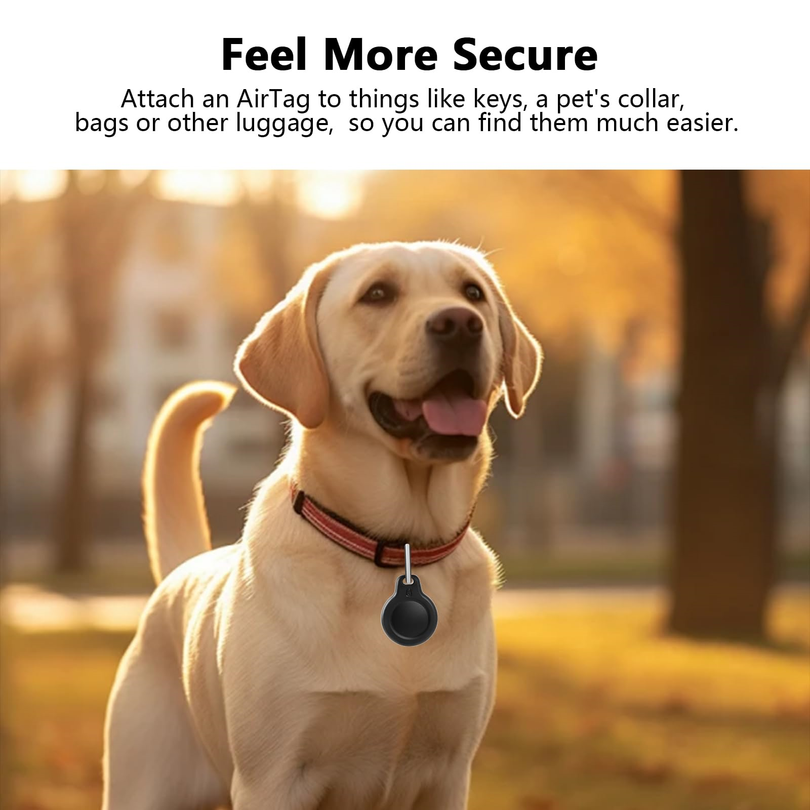 Golden Retriever mit AirTag am Halsband. Hintergrund ist eine sonnige Umgebung.
