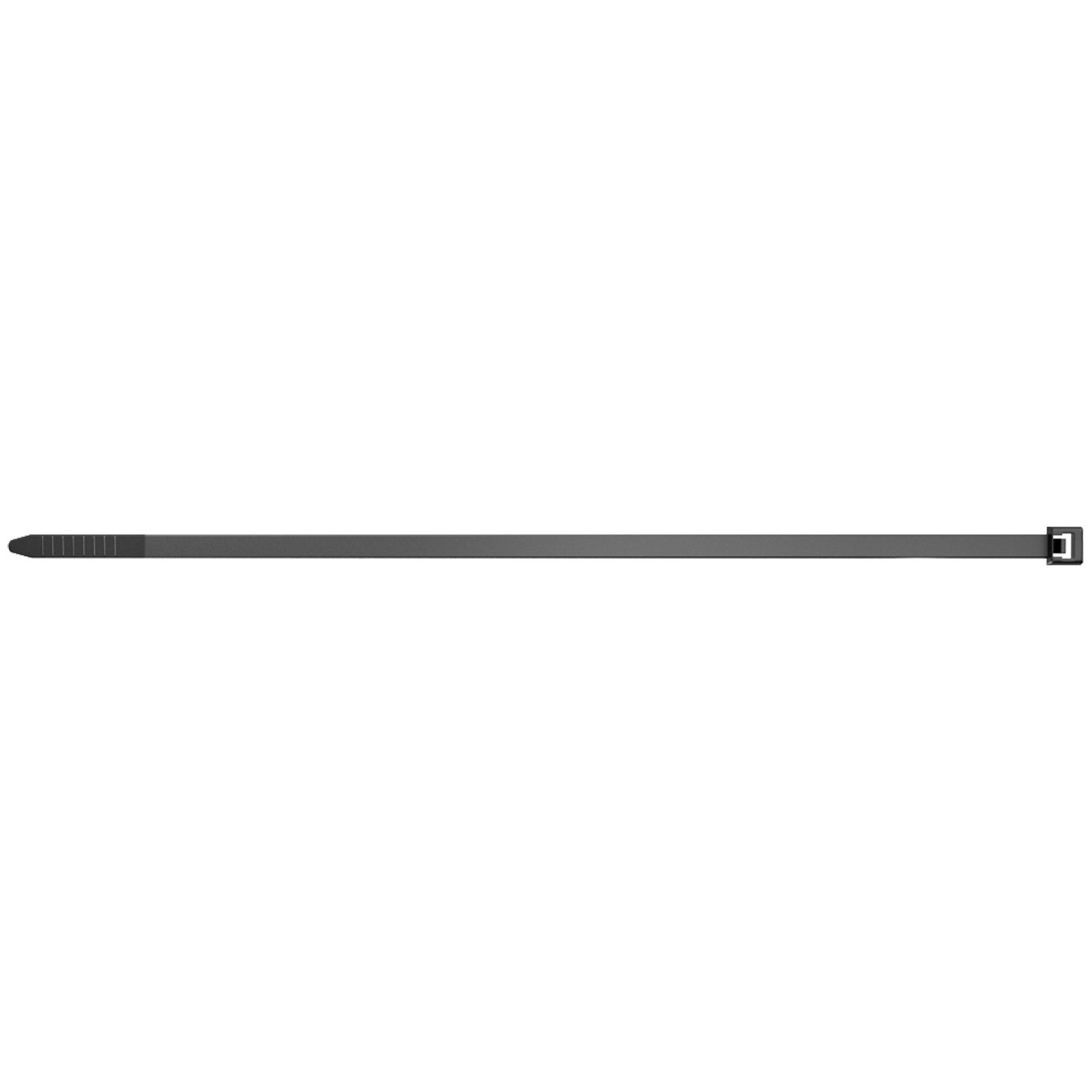 Una fascetta nera su sfondo bianco. È una striscia di plastica lunga e sottile con meccanismo di bloccaggio.