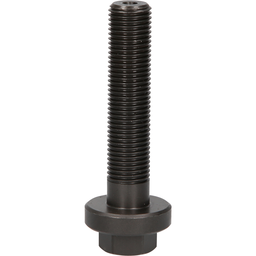 Eine schwarze Metallschraube mit Gewindekörper und Sechskantfuß. Weißer Hintergrund.