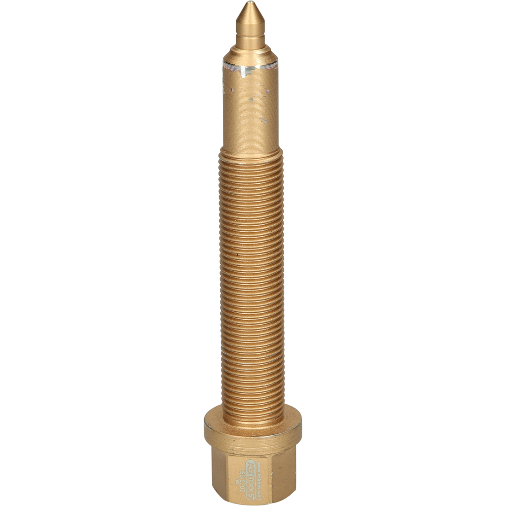 Ein goldenes Metallwerkzeug mit Gewindekörper, Sechskantkopf und spitzem Ende.