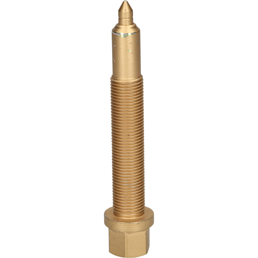 Ein goldenes Metallwerkzeug mit Gewindekörper, Sechskantkopf und spitzem Ende.