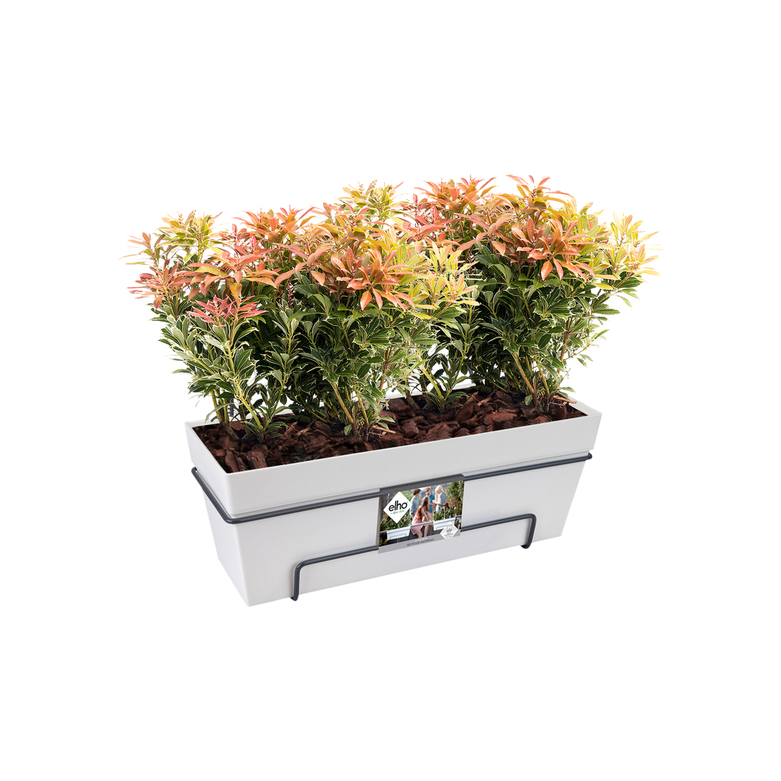 Biała prostokątna donica z roślinami. Ma czarną metalową ramę.