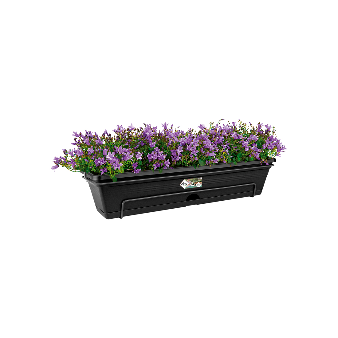 Fioriera rettangolare nera con fiori viola. Supporto in metallo. Sfondo bianco.